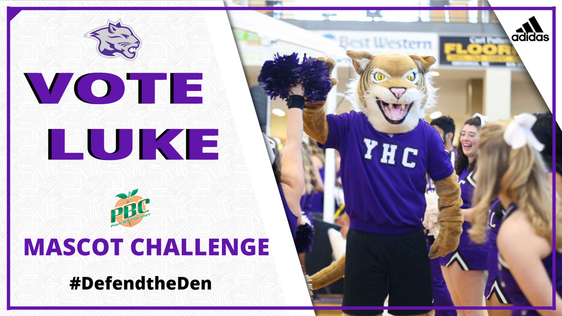 Vote for Luke the Mountain Lion