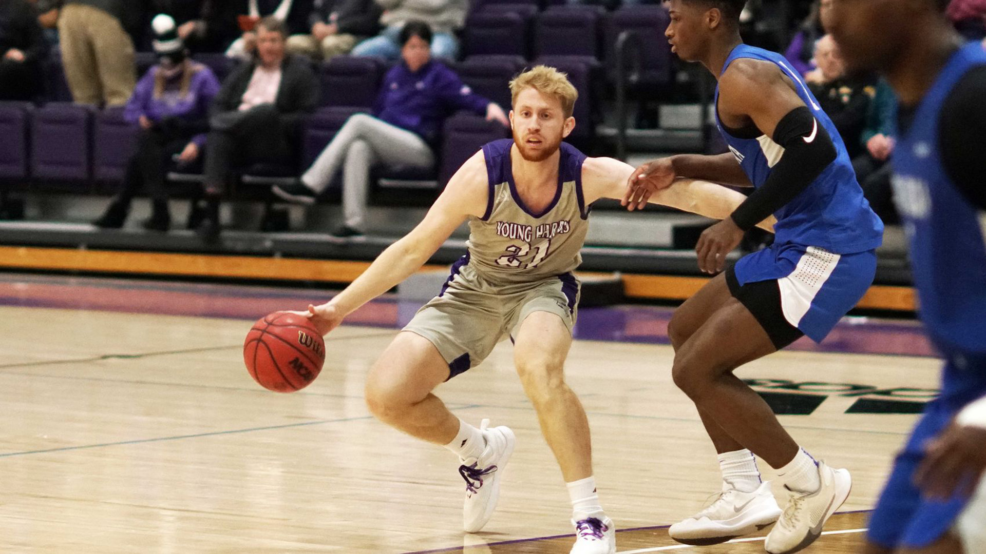 Josh Petteno Men's Basketball Young Harris College Athletics