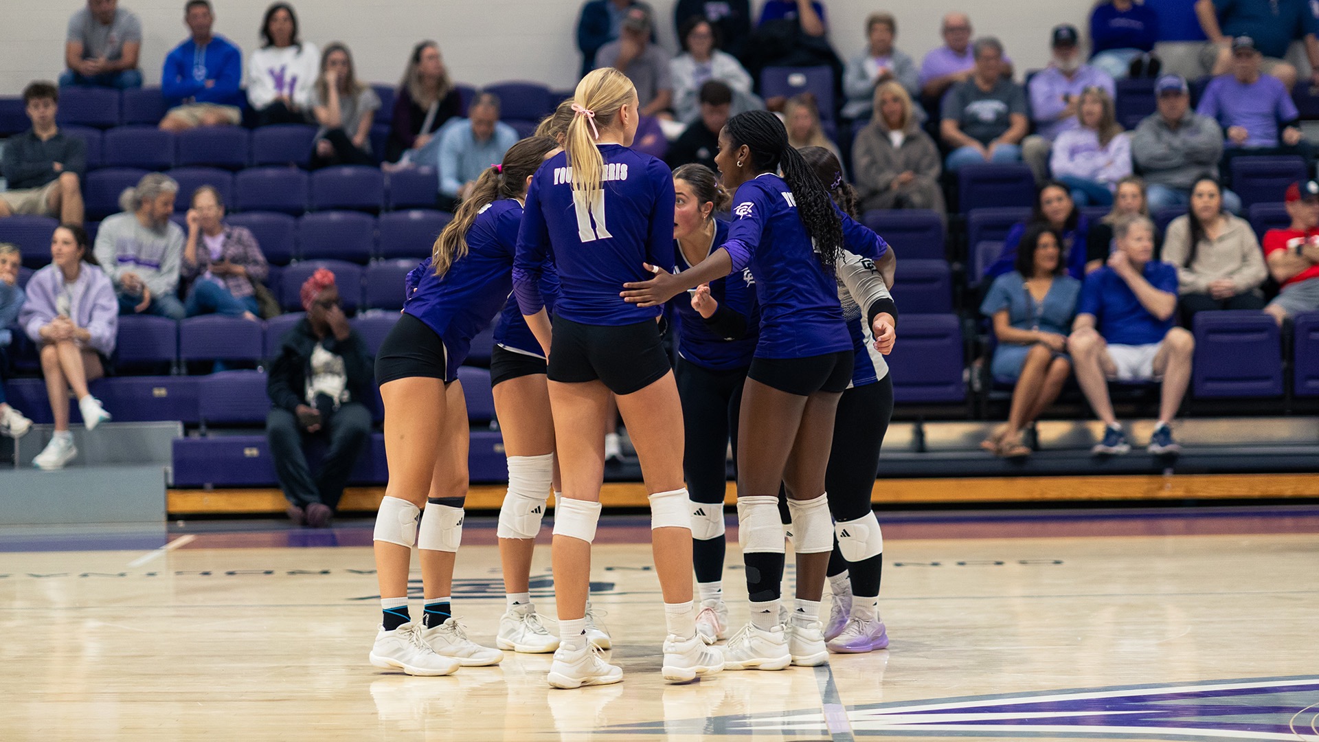 volleyball group