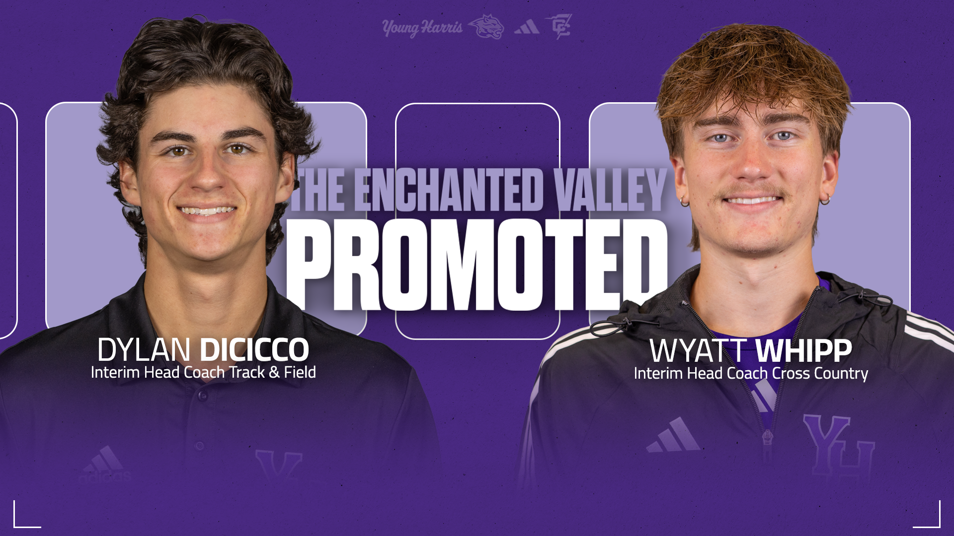 Dicicco/Whipp Promotion