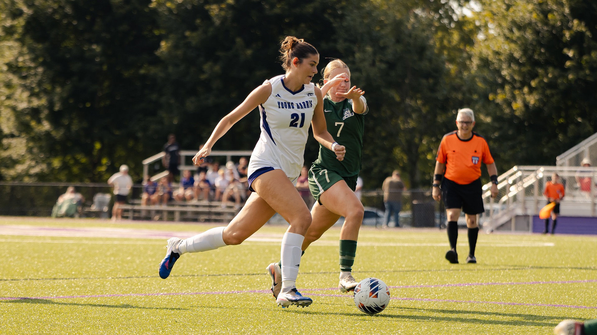 clara allen action