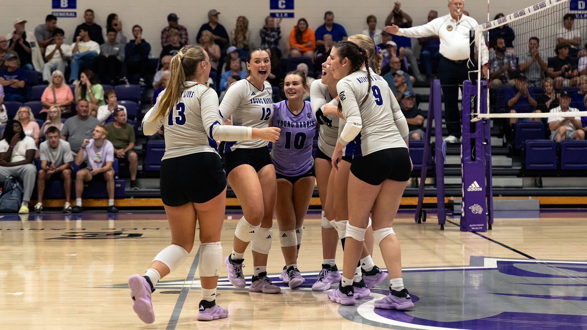 vb huddle