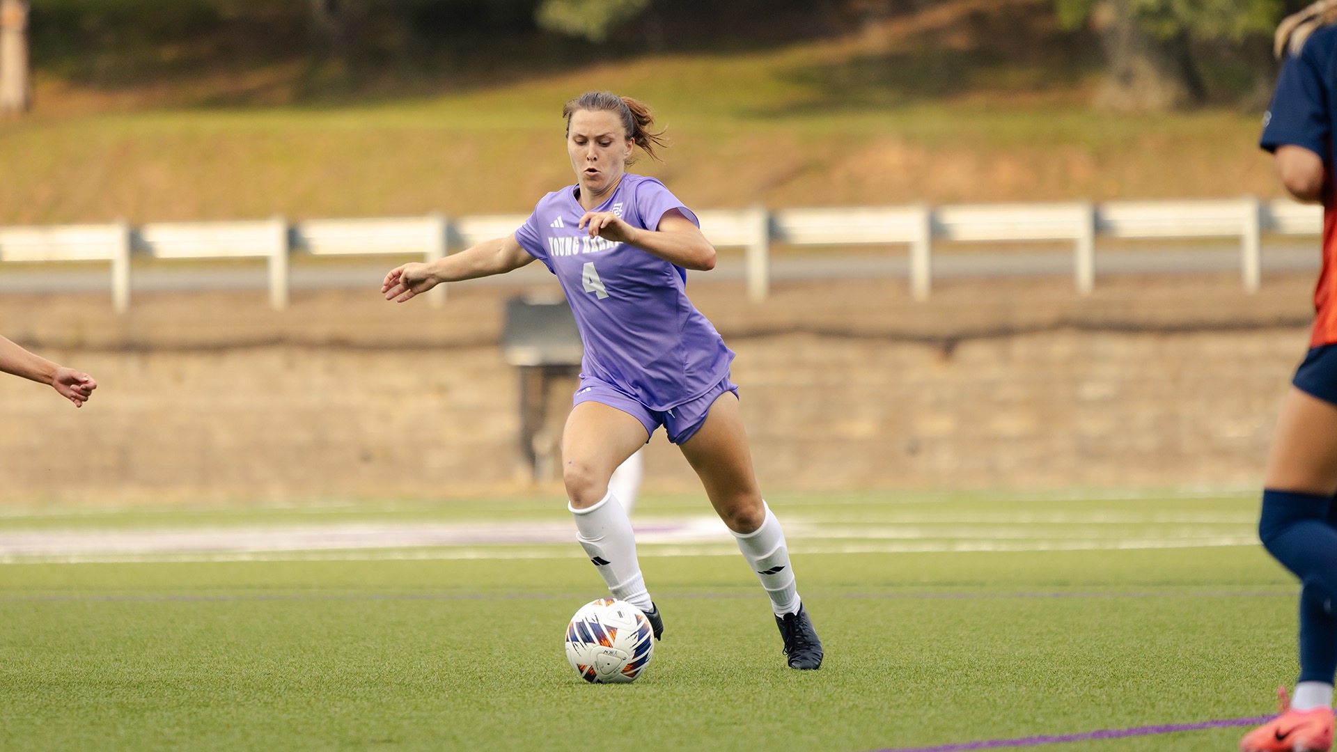 faith niebrugge action