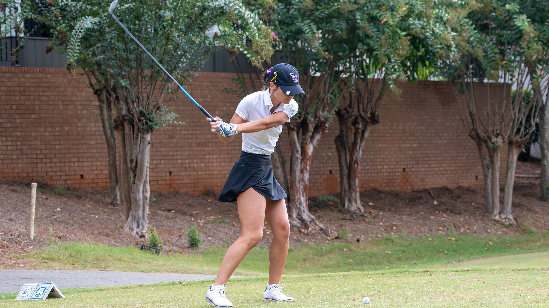 wgolf action shot