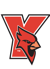 Y Logo