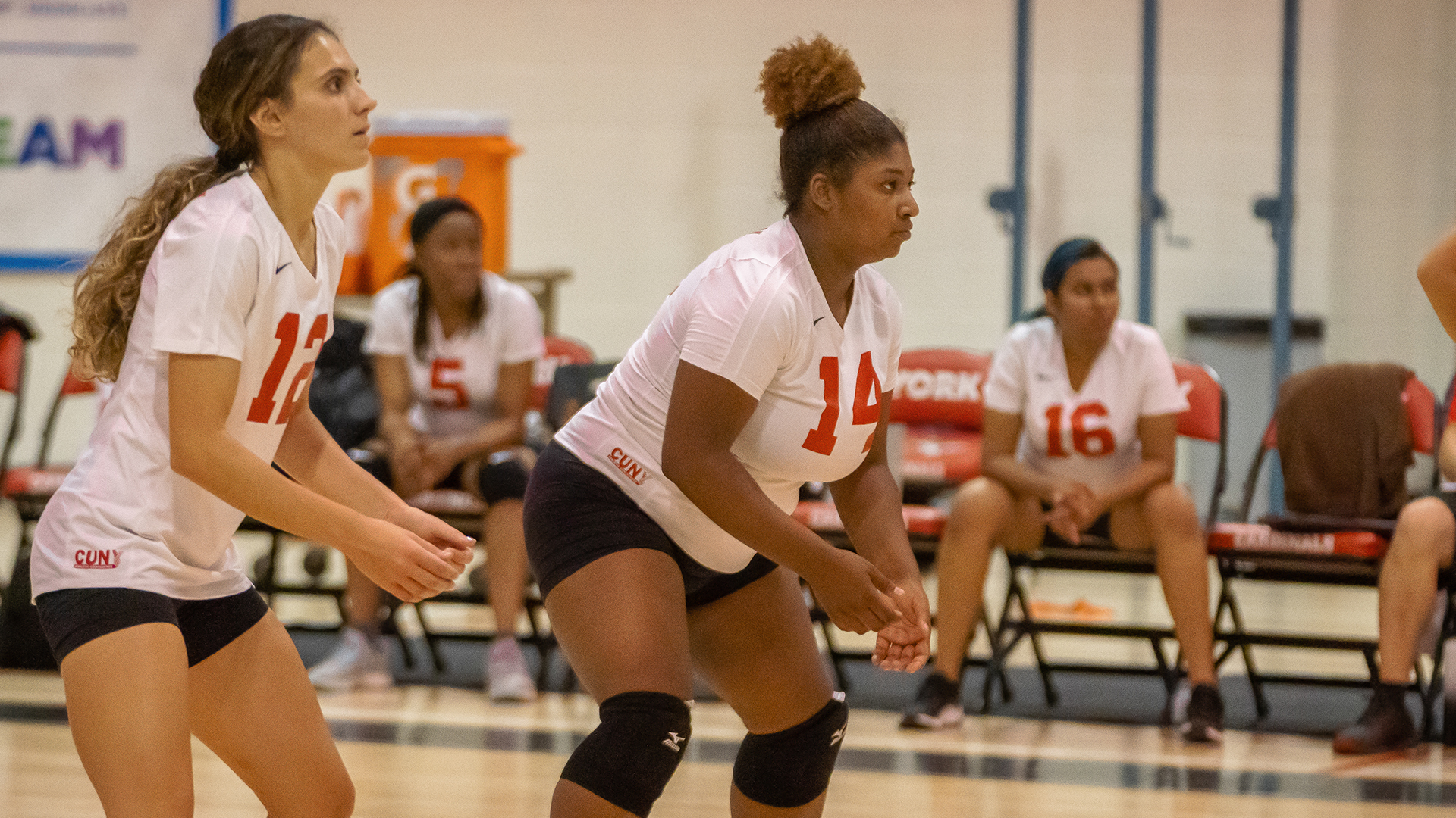 Nadaysia Nivar Women's Volleyball York College Athletics