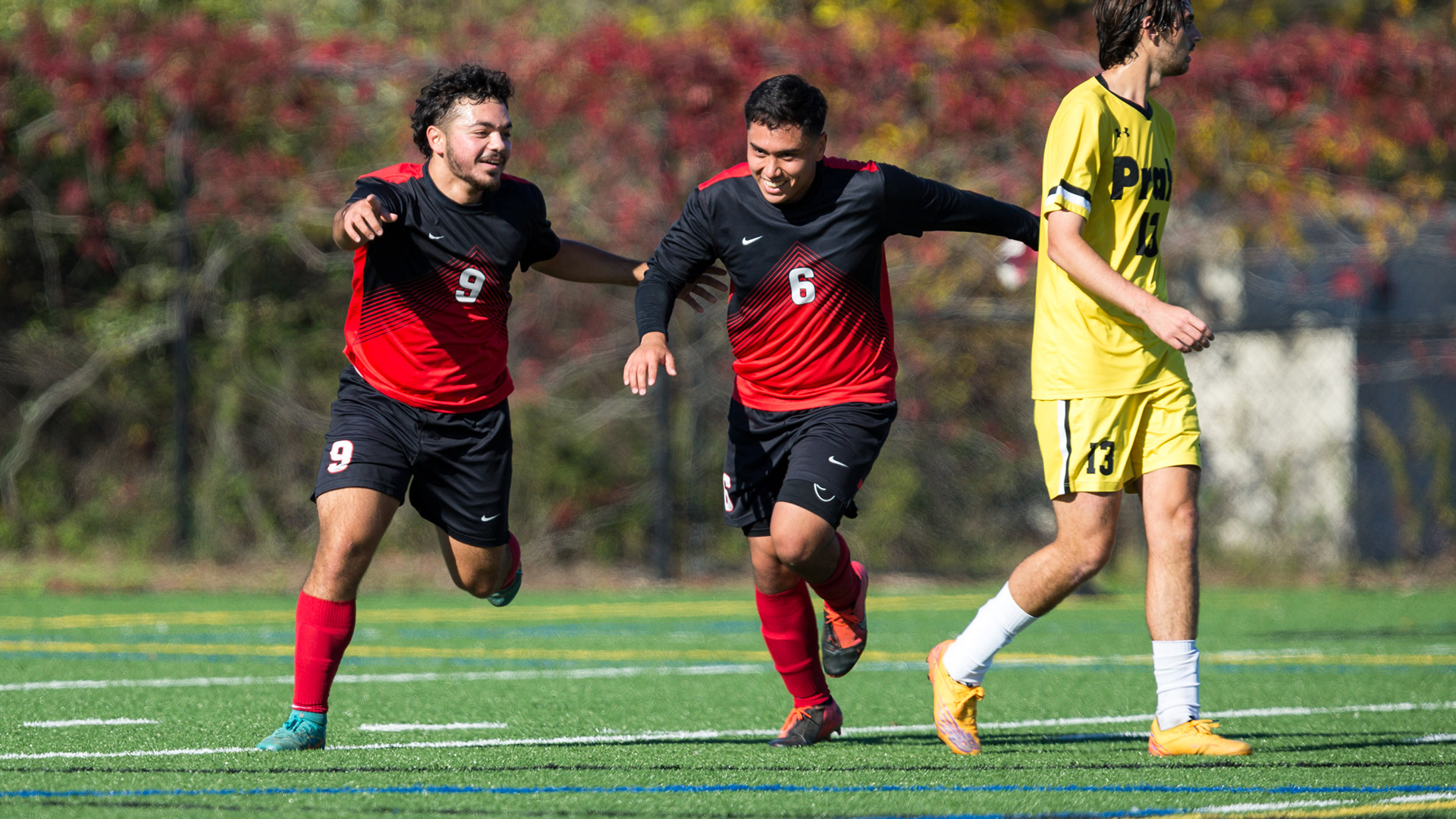 Stanley Sanchez Men's Soccer York College Athletics