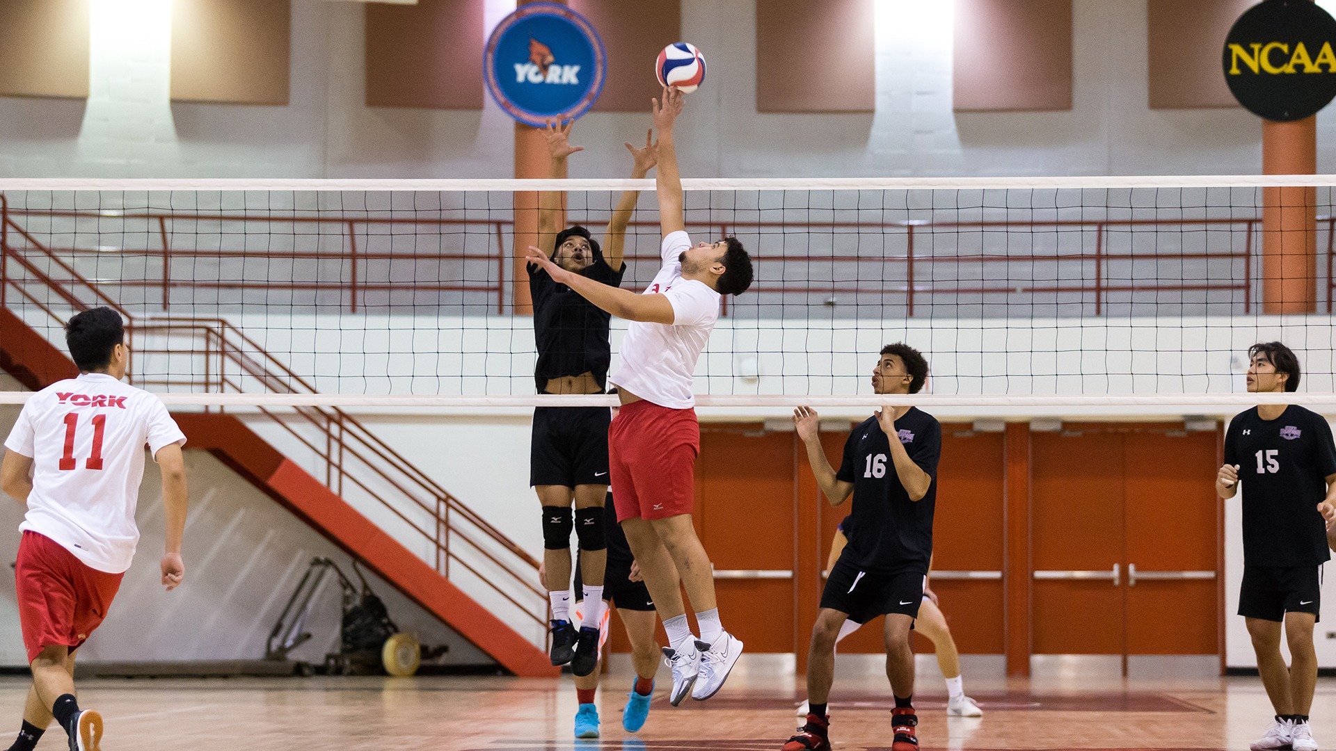 Men’s Volleyball face Baruch in CUNYAC doubleheader York College