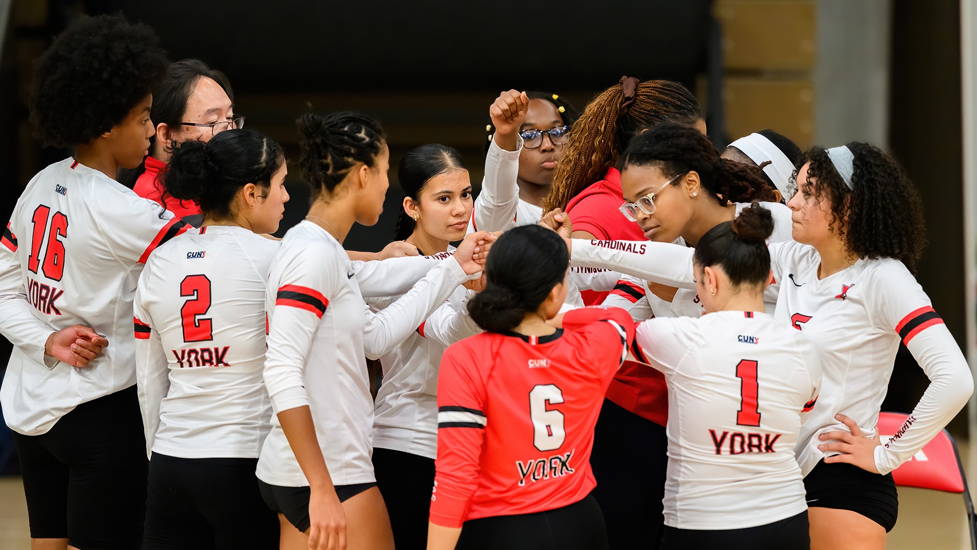 Women's Volleyball Team Huddle
