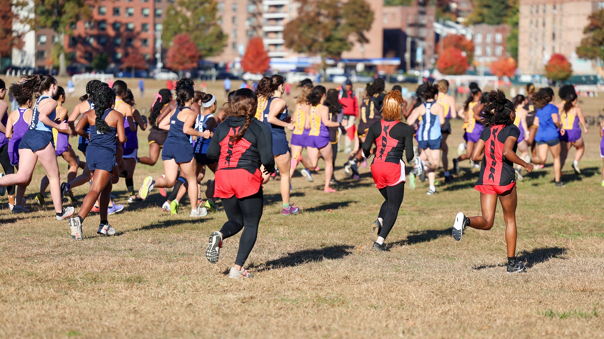 Women's Cross Country