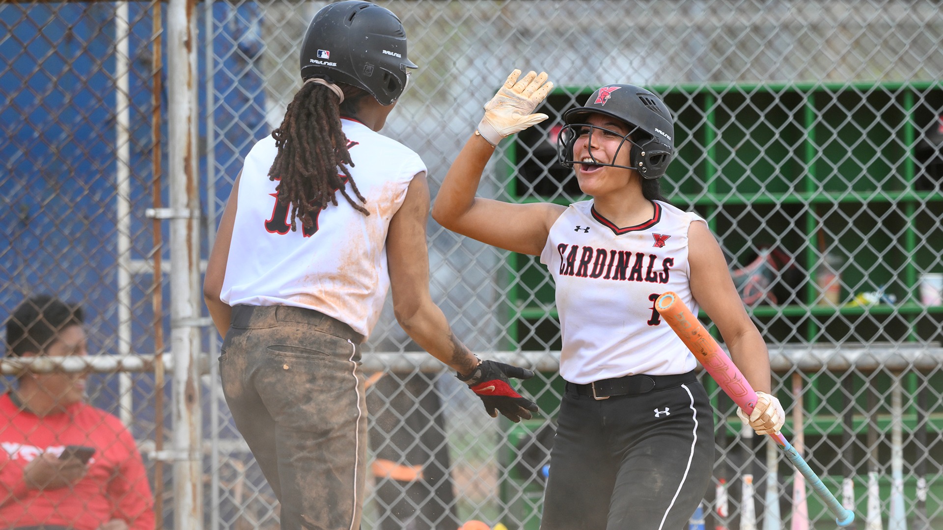 York College Softball celebrates with a win vs. Yeshiva University