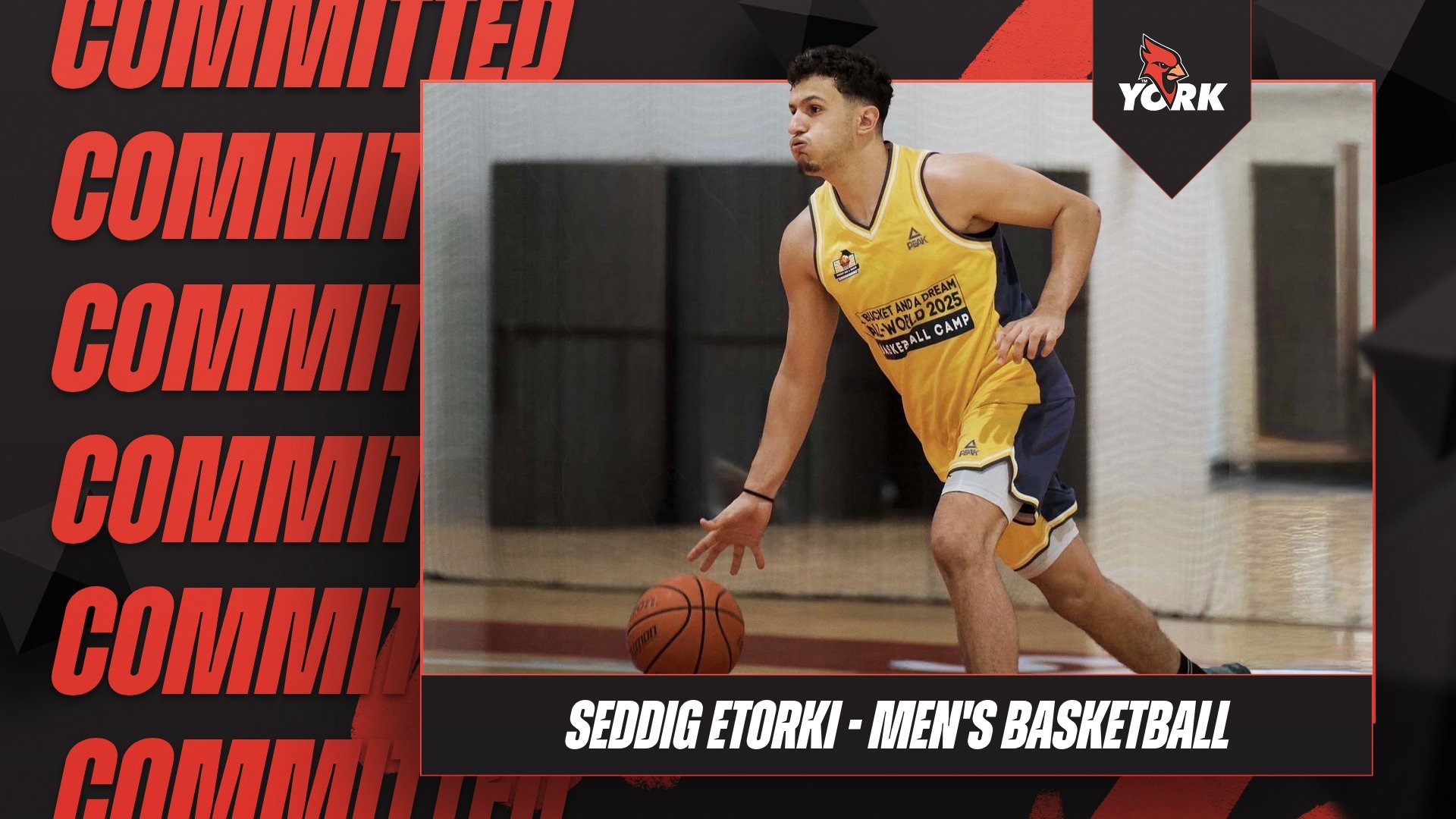 Seddig Etorki commits to York College Men's Basketball