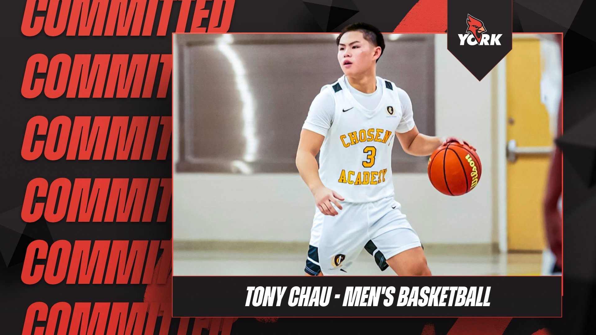 Tony Chau commits to York College Men's Basketball