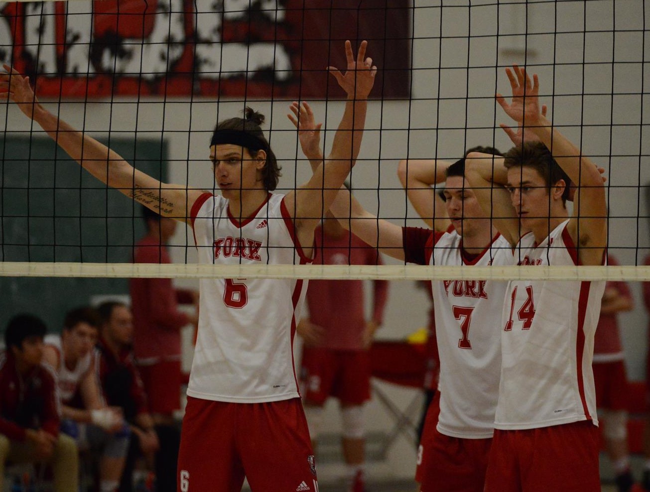 Arthur Szwarc Men's Volleyball York University Athletics