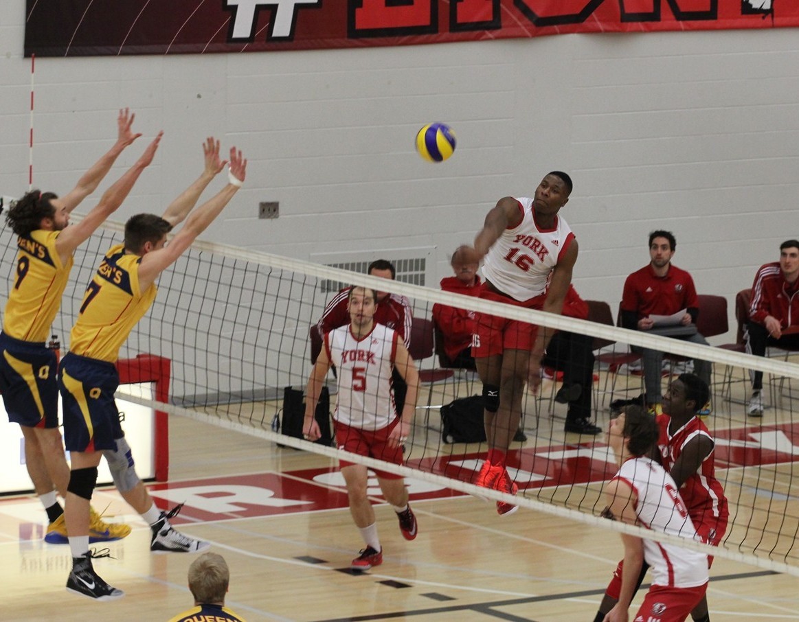 Josh Henderson Men's Volleyball York University Athletics
