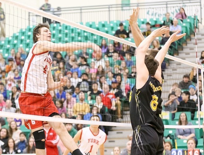 Arthur Szwarc Men's Volleyball York University Athletics