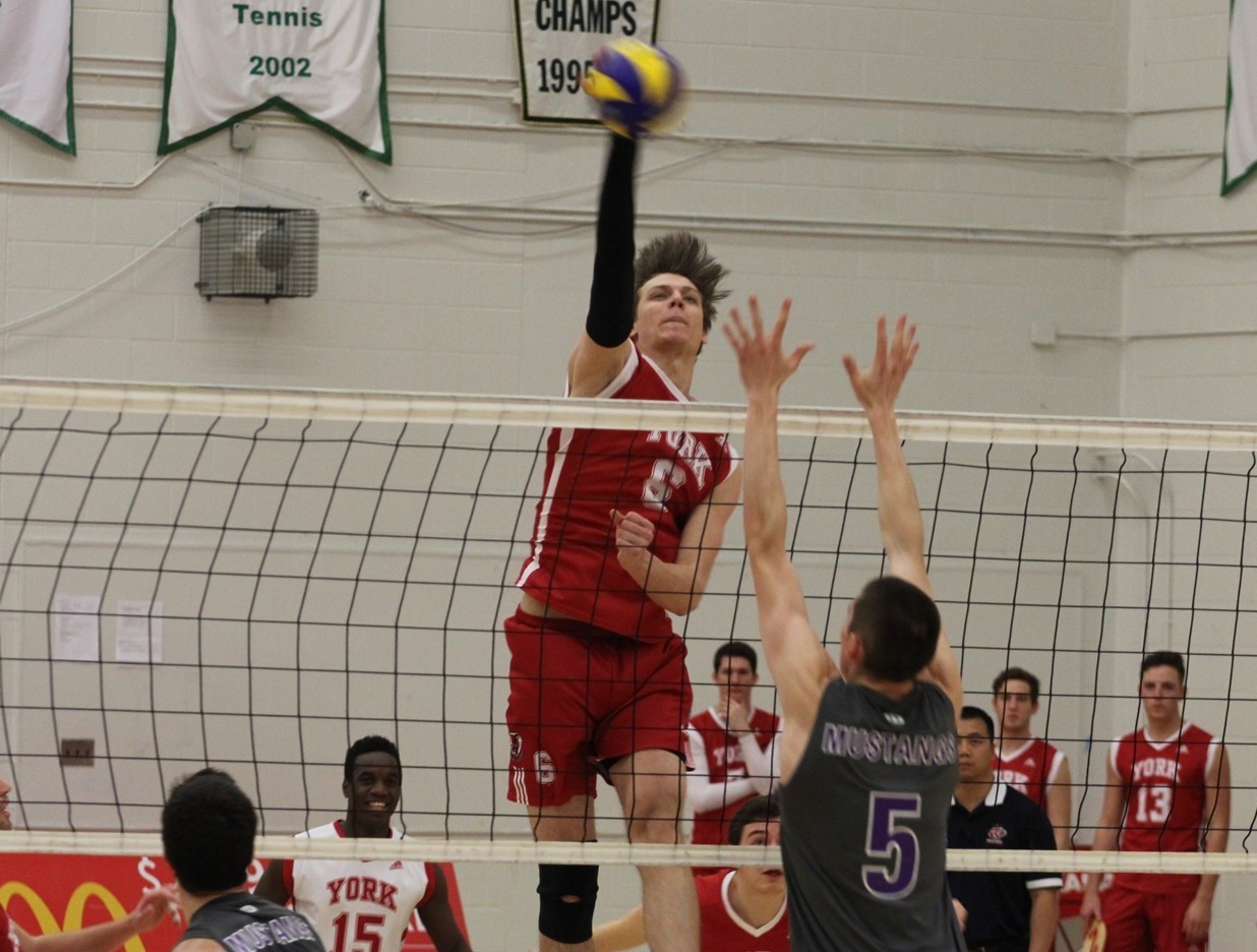 Arthur Szwarc Men's Volleyball York University Athletics