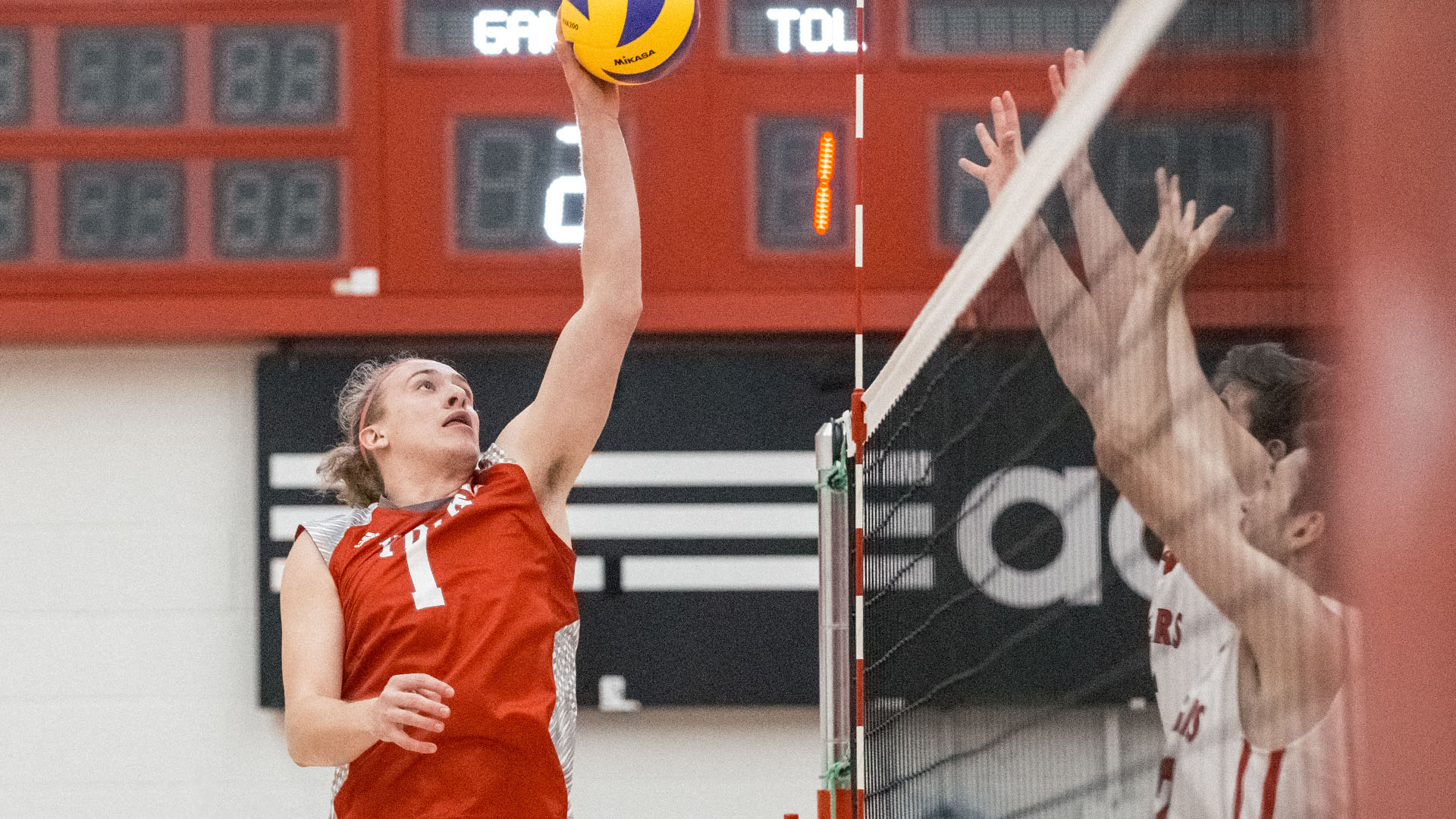 Andrew Shotbolt Men's Volleyball York University Athletics