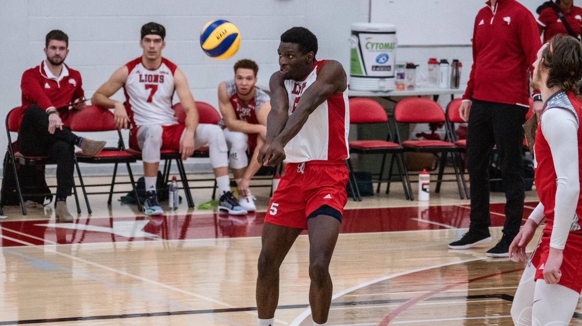Q&A ANDREW TAUHID, MEN'S VOLLEYBALL York University Athletics