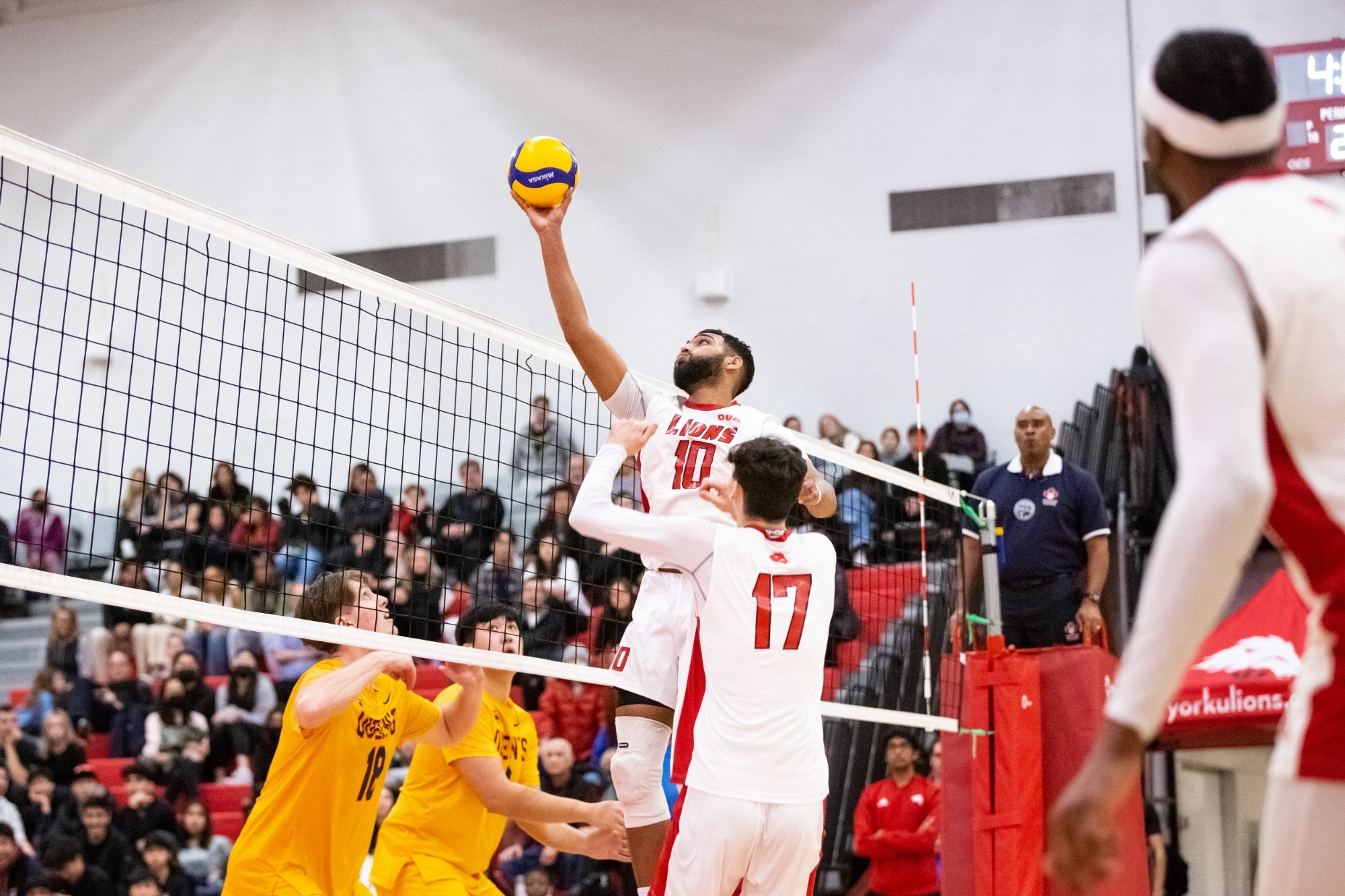 Jasraj Nijjar Men's Volleyball York University Athletics