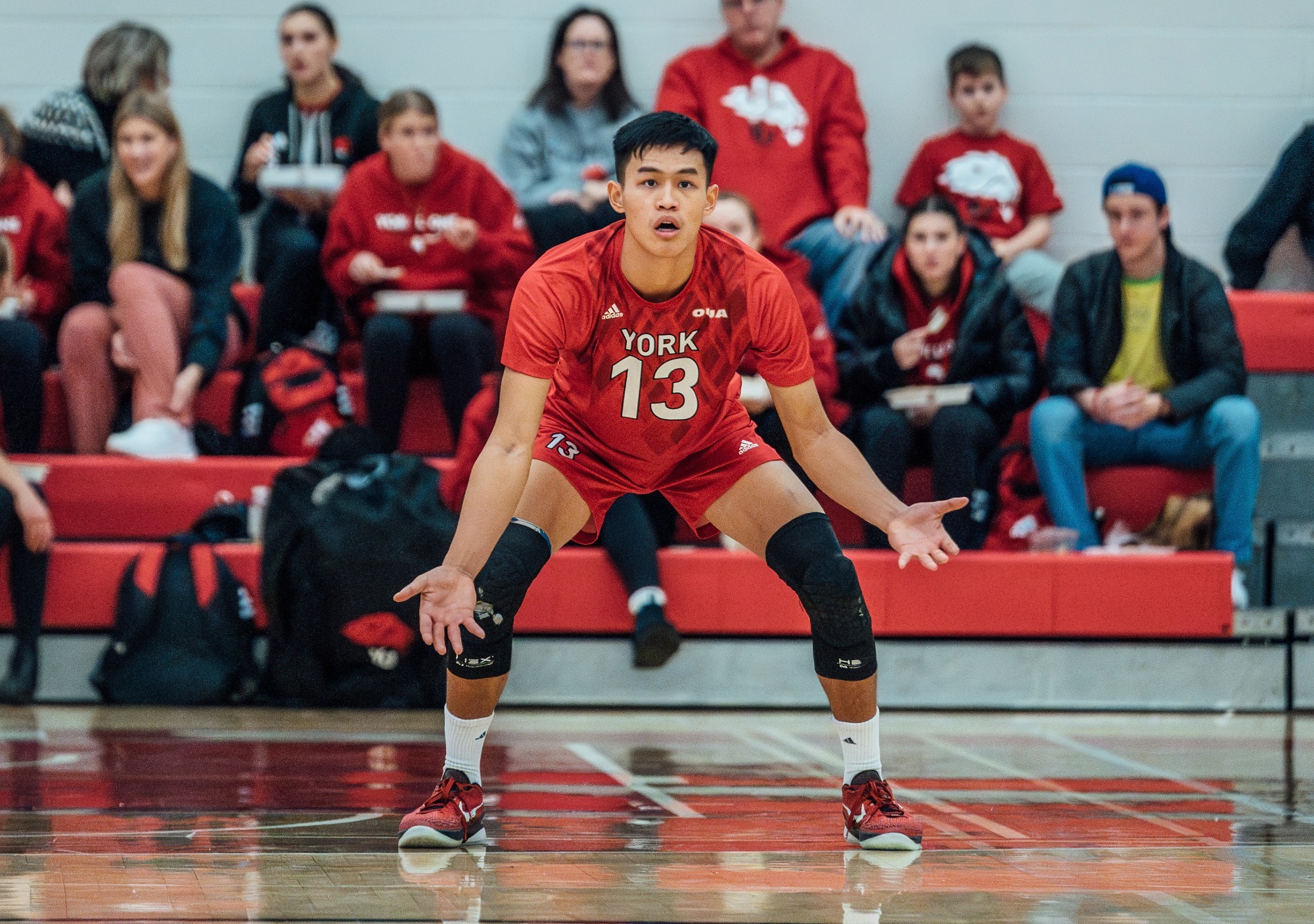 Alex Ko Men's Volleyball York University Athletics