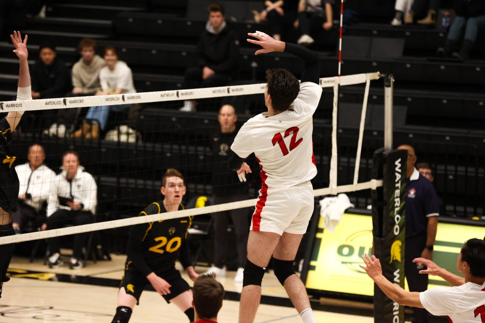 Dennis Cota Men's Volleyball York University Athletics