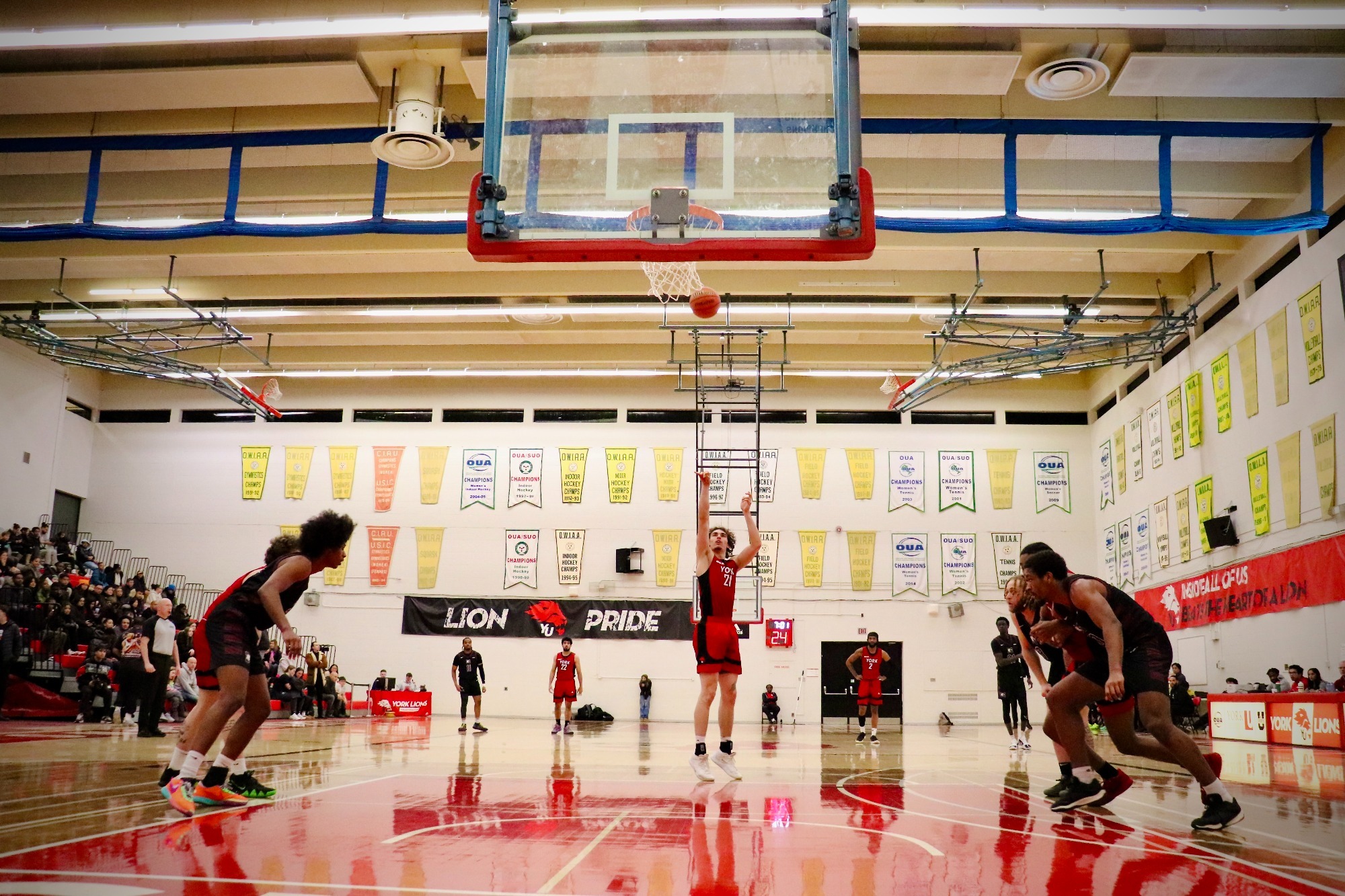 Kevinko Mervart Men's Basketball York University Athletics