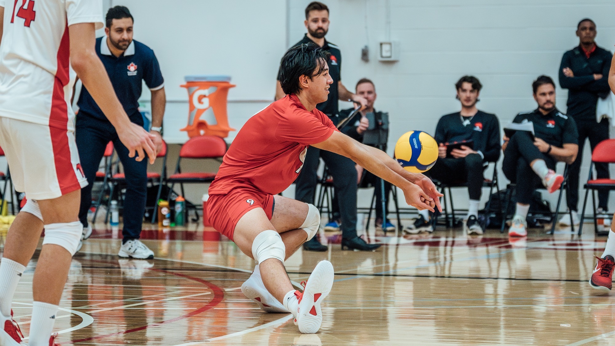 Daniel Lafleur Men's Volleyball York University Athletics