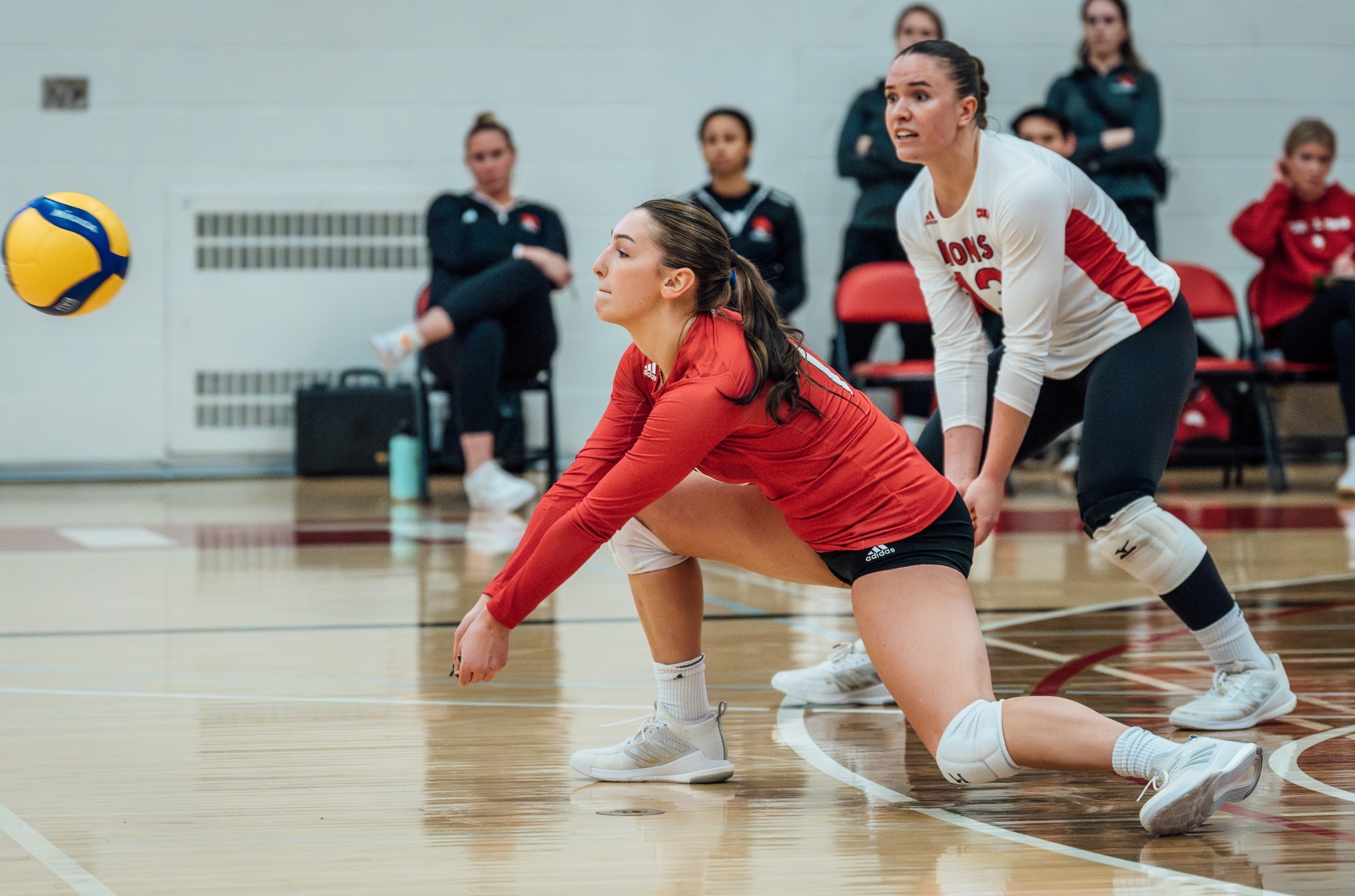 Kianna Drewniak Women's Volleyball York University Athletics