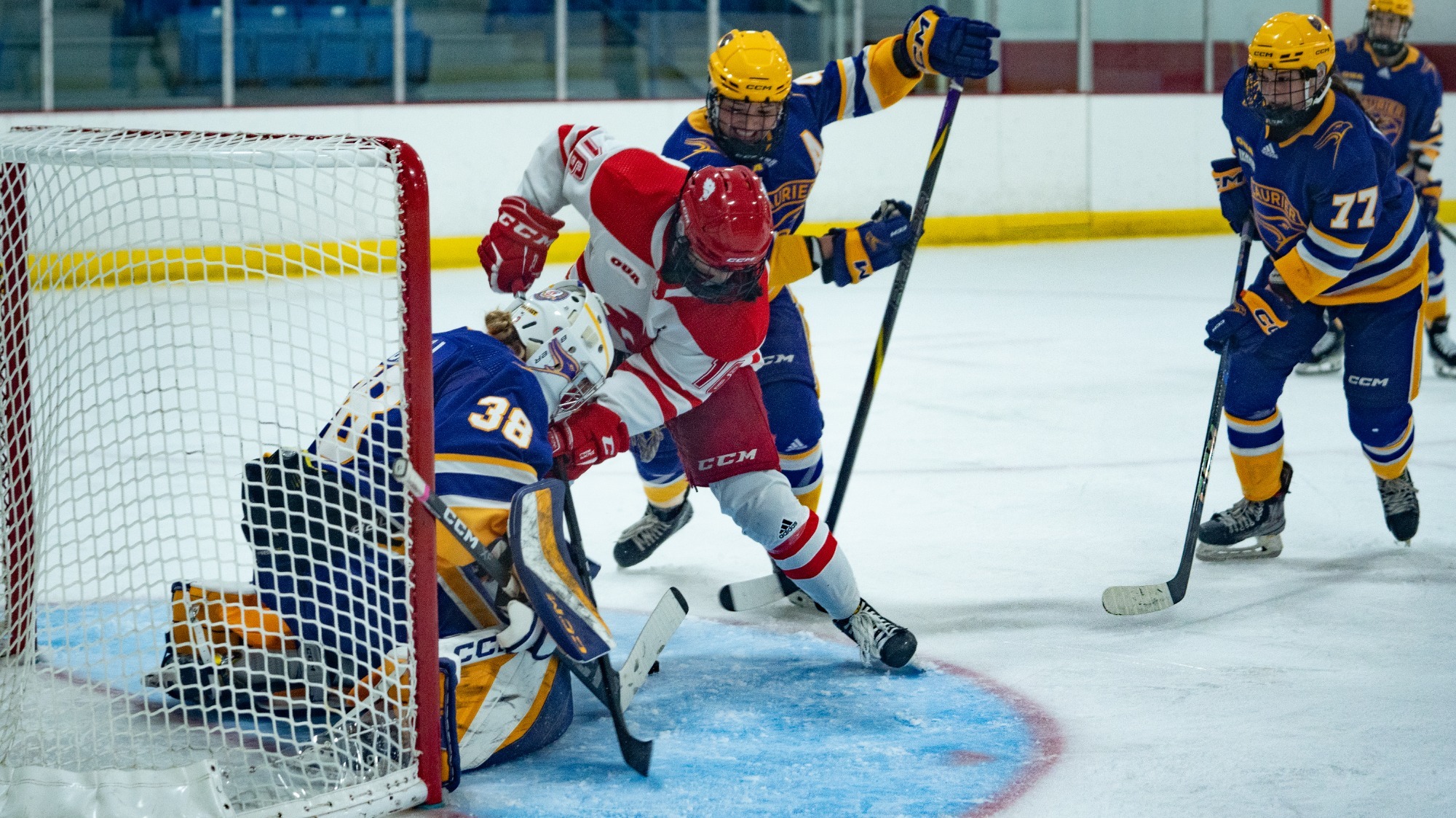 The York University Lions women’s hockey team hosted the Laurier Golden Hawks on Friday evening at Canlan Ice Sports
