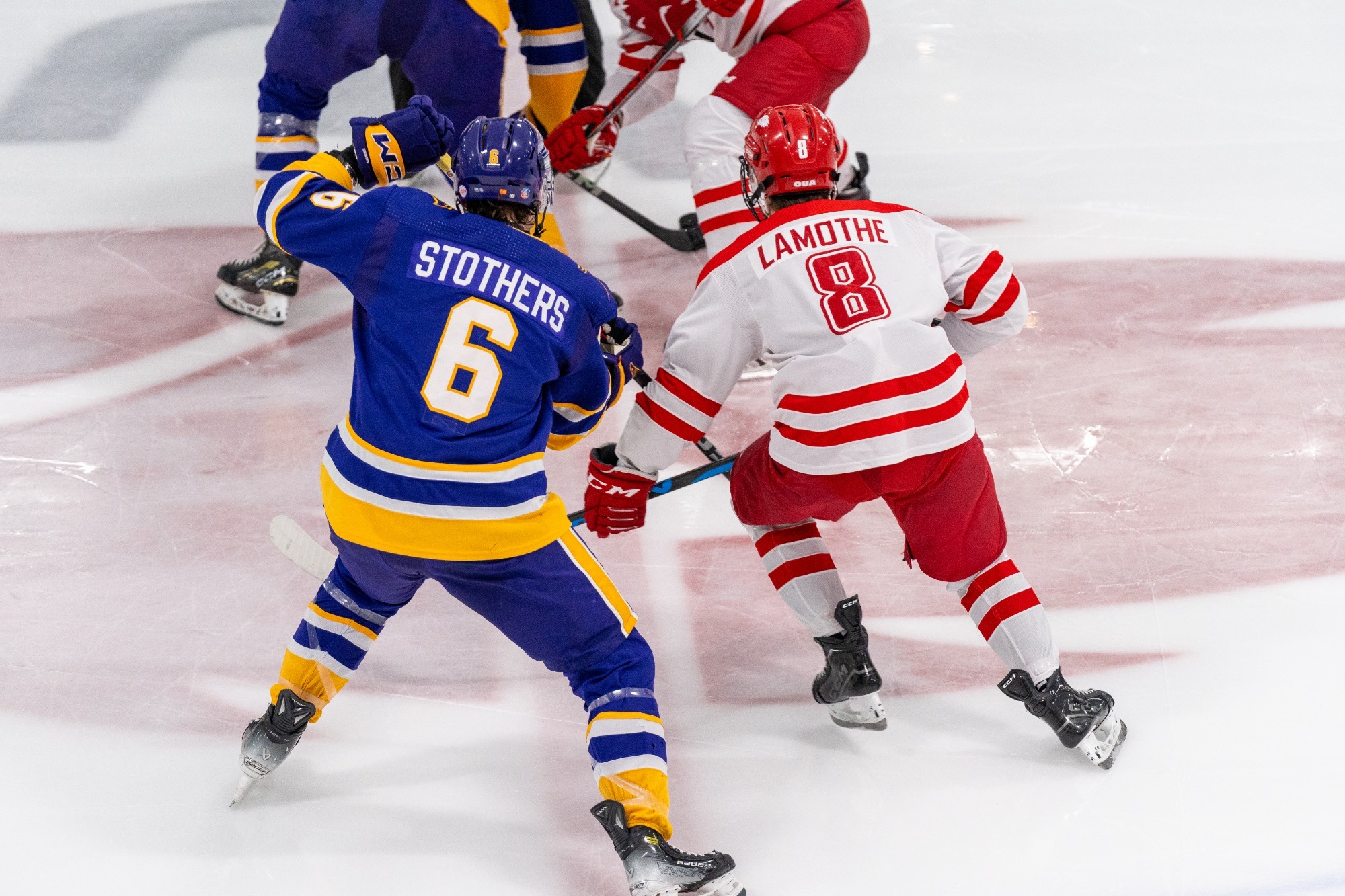 The York University Lions men’s hockey team hosted the Laurier Golden Hawks on Saturday night at Canlan Ice Sports