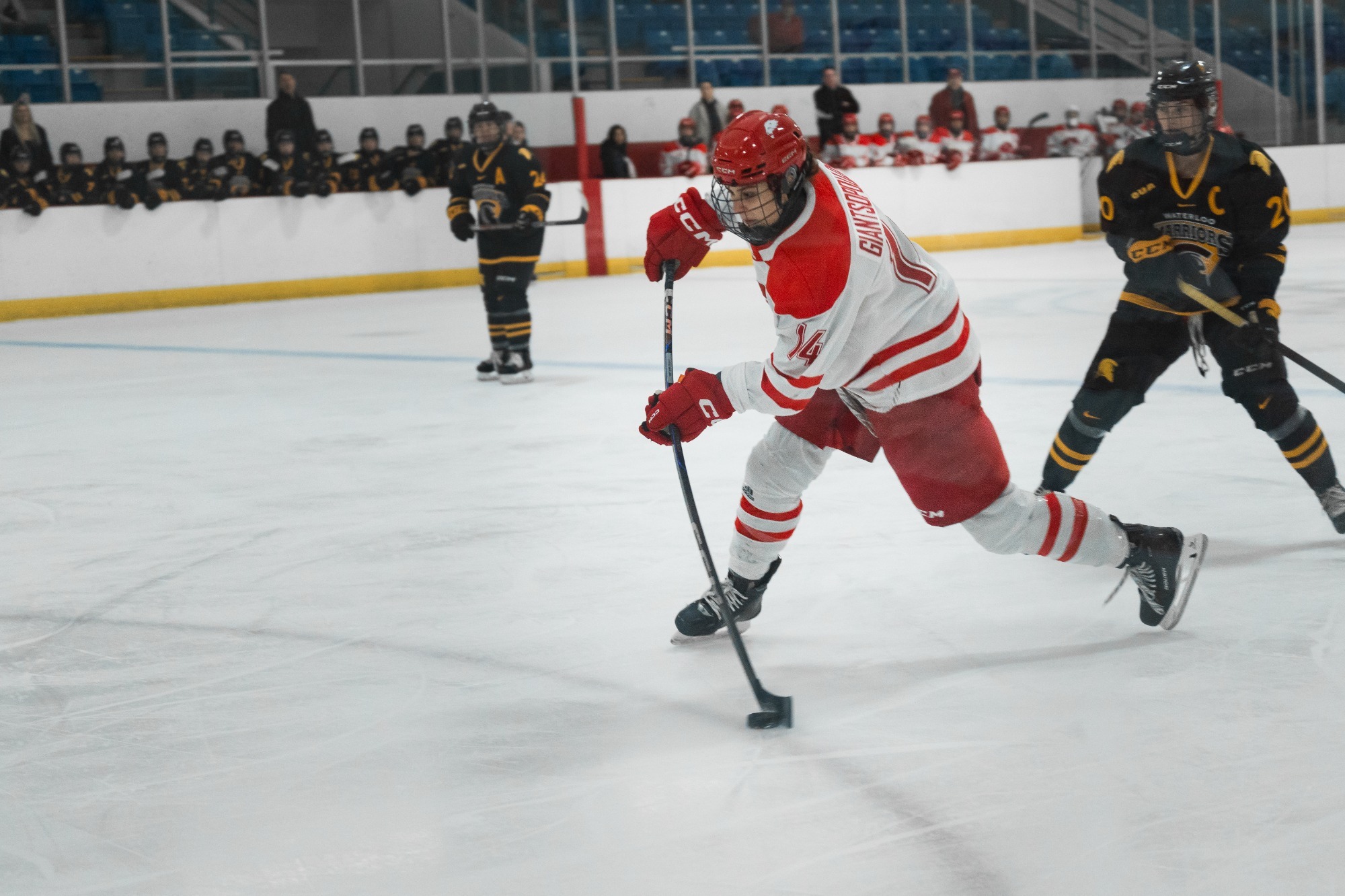 The York University Lions women’s hockey team, sitting at 4-7 on the season, looked to make a statement against a tough 8-2 Waterloo Warriors squad Sunday afternoon at Canlan Ice Sports