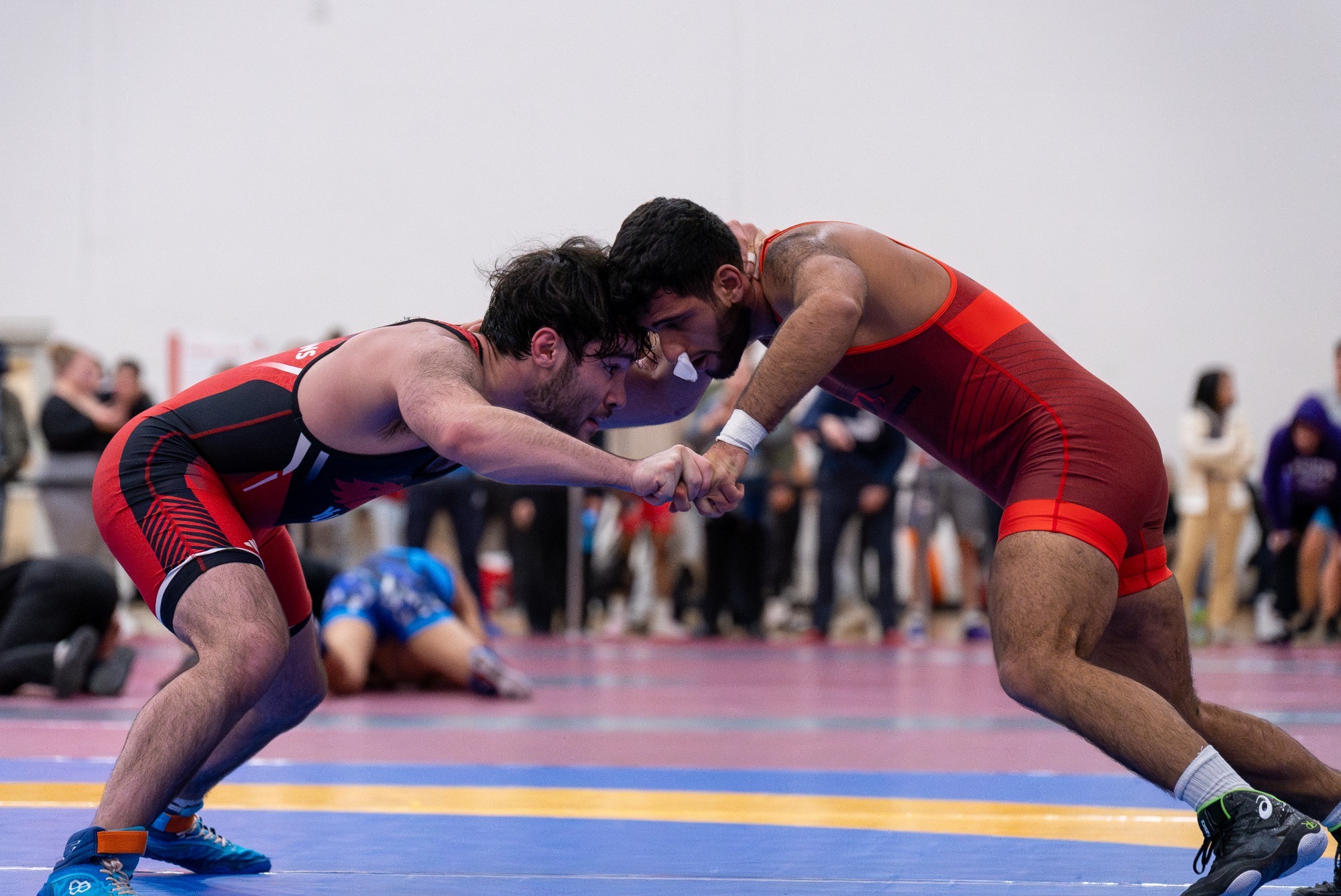 The York University Lions wrestling team hosted their lone home meet of the year on Nov. 16 at the Tait McKenzie Centre. 