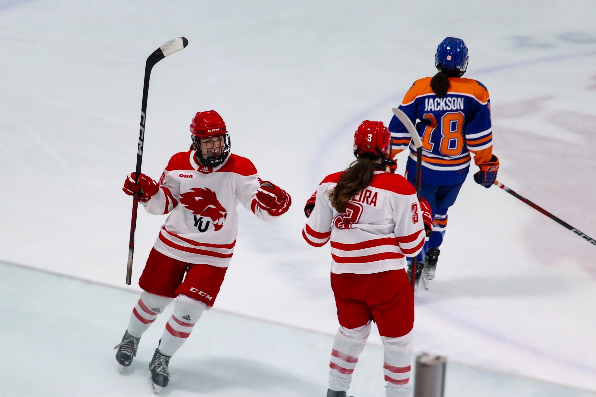 The York University Lions women’s hockey team hosted the Ontario Tech Ridgebacks on Friday evening in their annual Roar for a Cure game in support of the Canadian Cancer Society.  