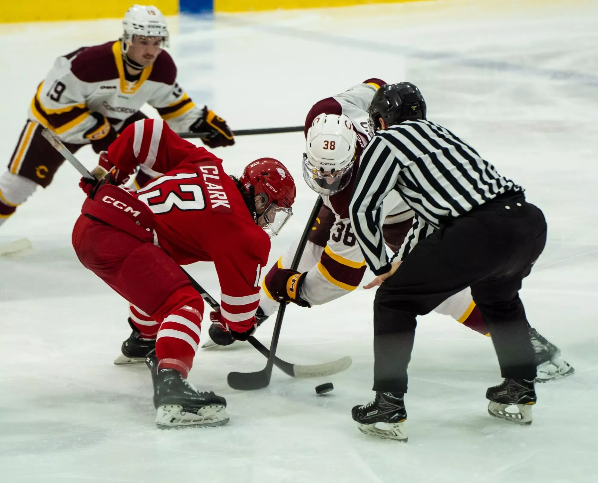 he Concordia Stingers