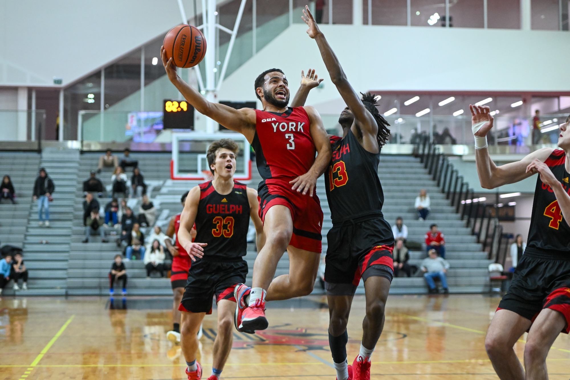 The York University Lions men's and women's basketball teams faced the Guelph Gryphons in their final games of 2024 on Saturday night in the Royal City