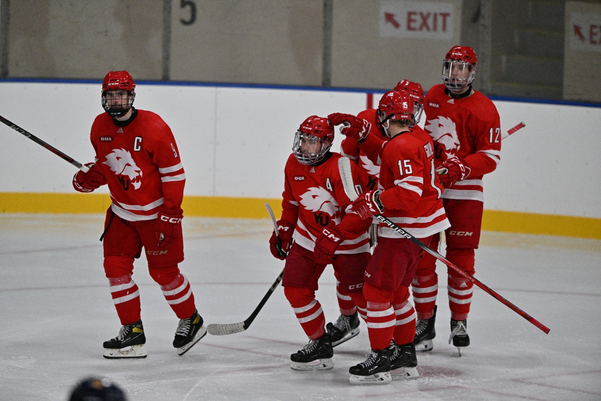 The York University Lions men’s hockey team battled the McGill Redbirds on Friday night at Place Bell in Laval, Que.,