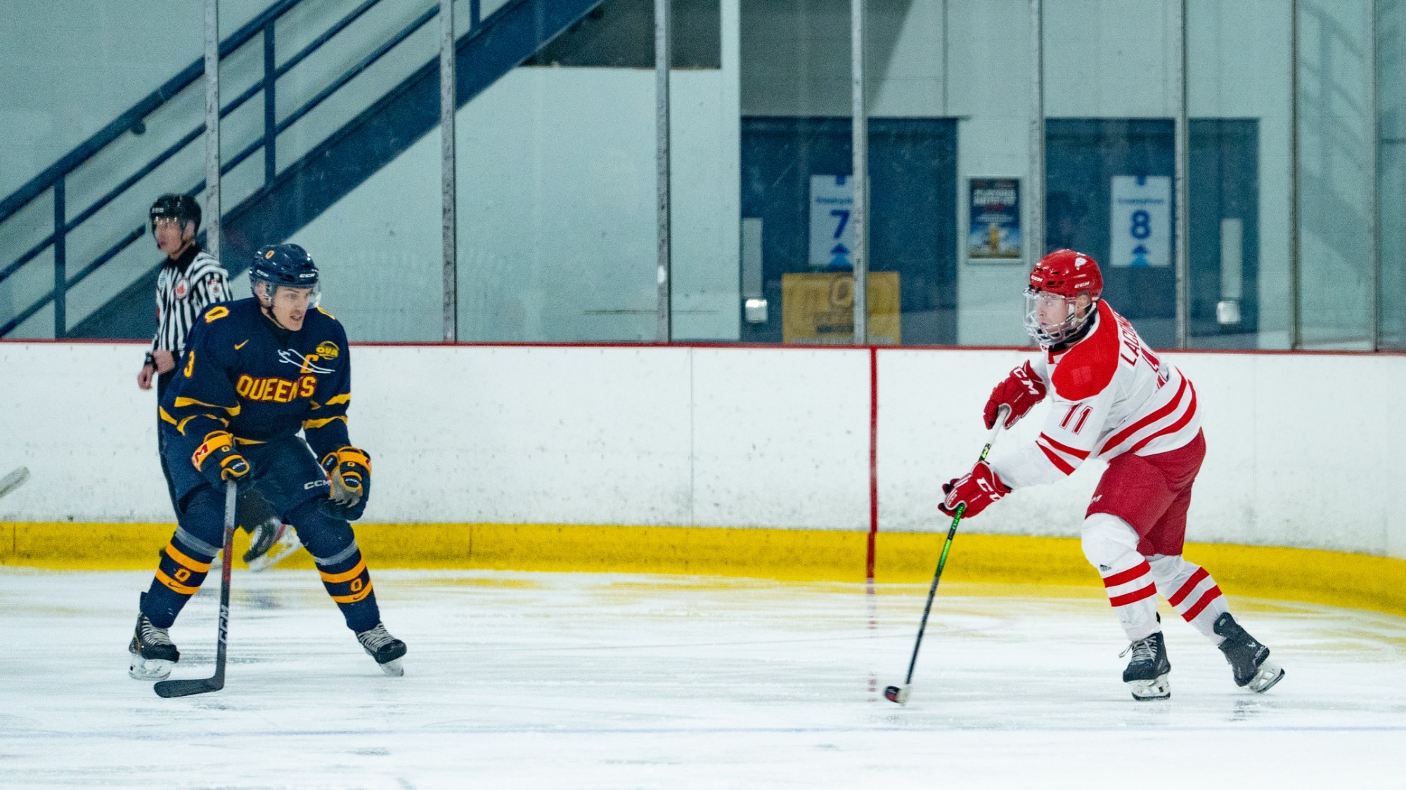 fter the exam break and time spent with those held dearest, the York University Lions are back for the winter term