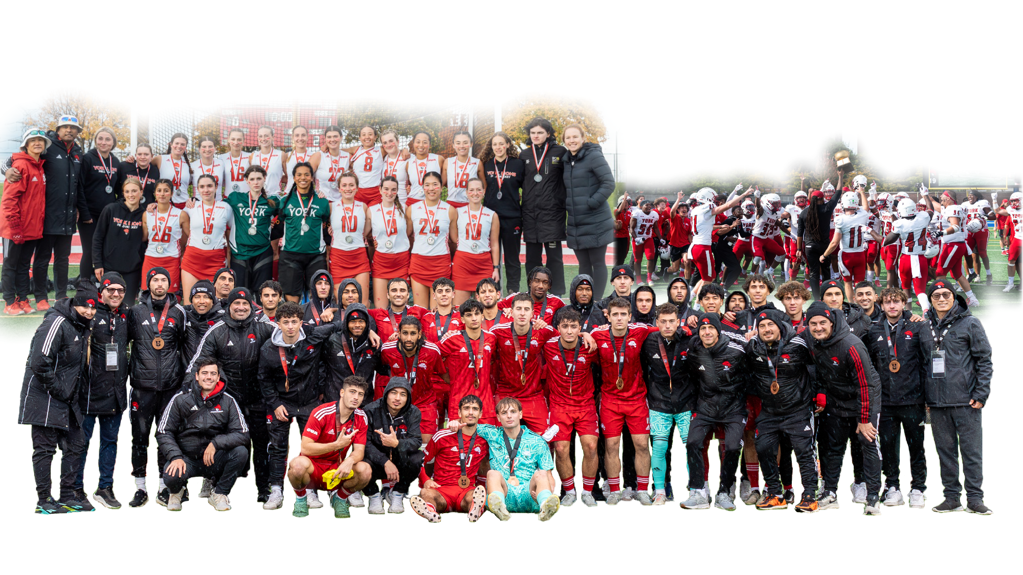 It was one of the most successful fall terms in recent memory for the York University Lions varsity teams.