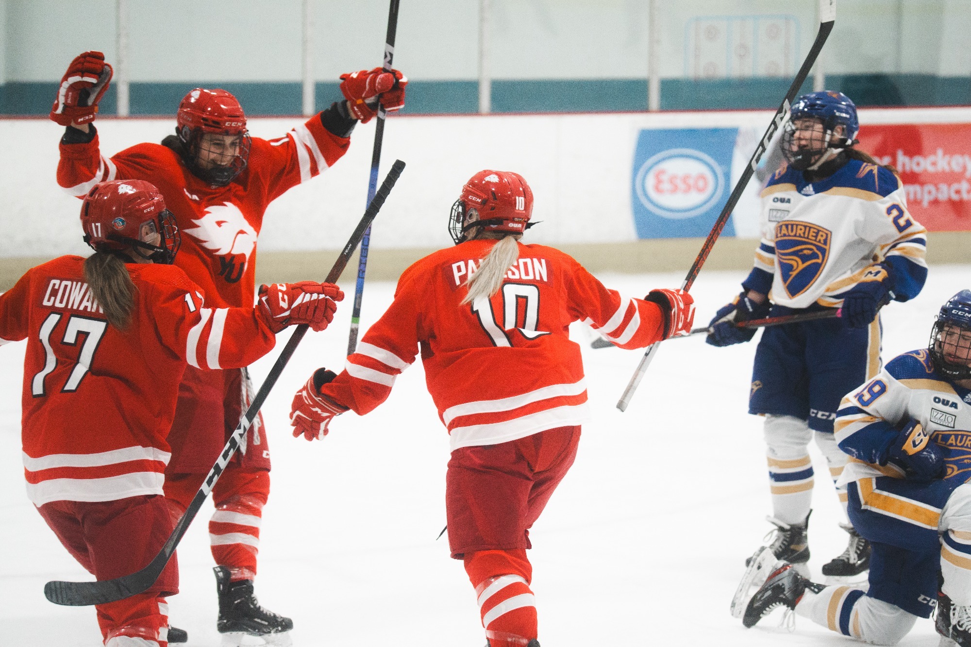 Sydney Paulson Women's Hockey York University Athletics