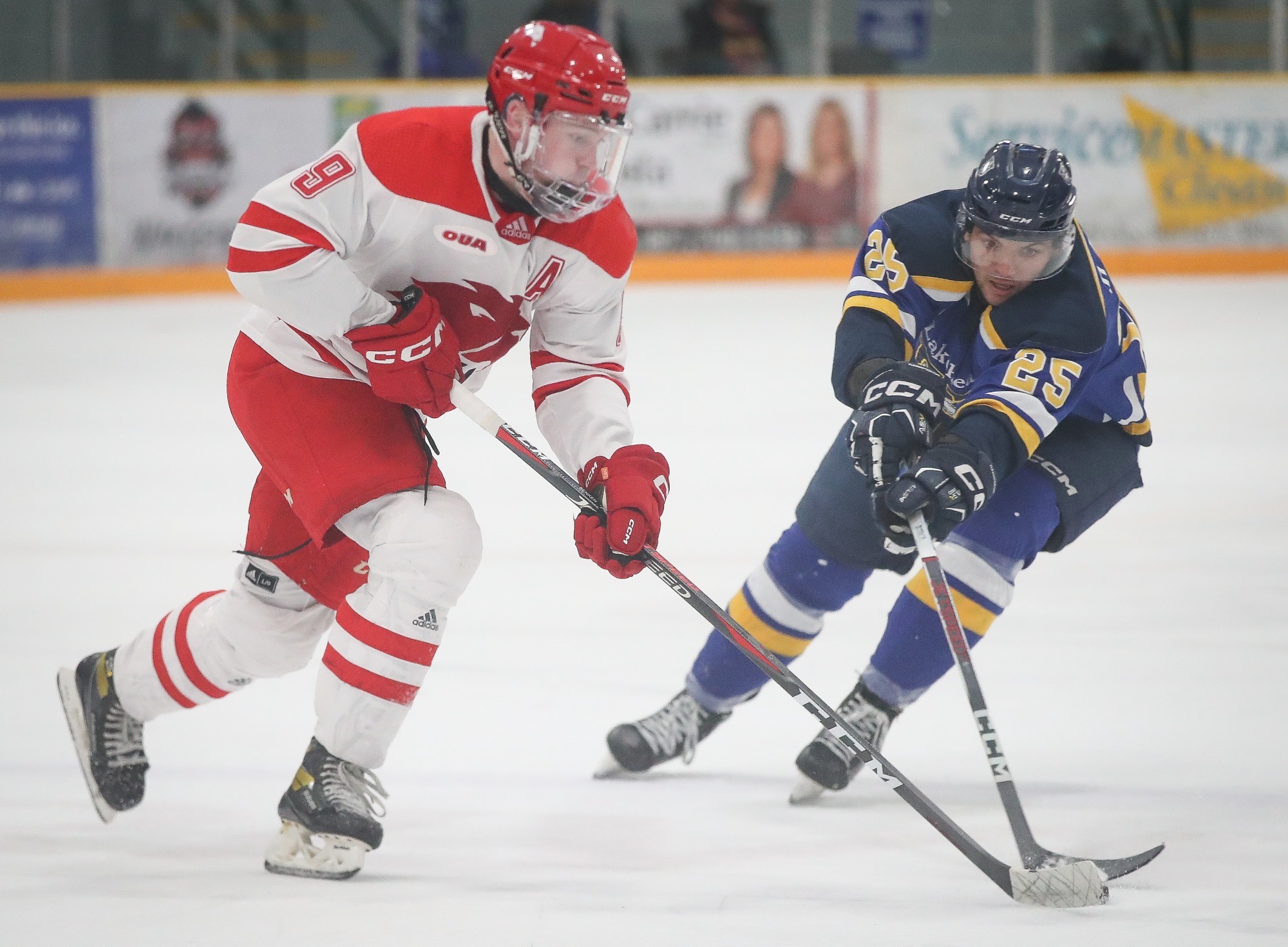 The York University Lions men’s hockey team rang in 2025  against the Lakehead Thunderwolves on Saturday night in Thunder Bay