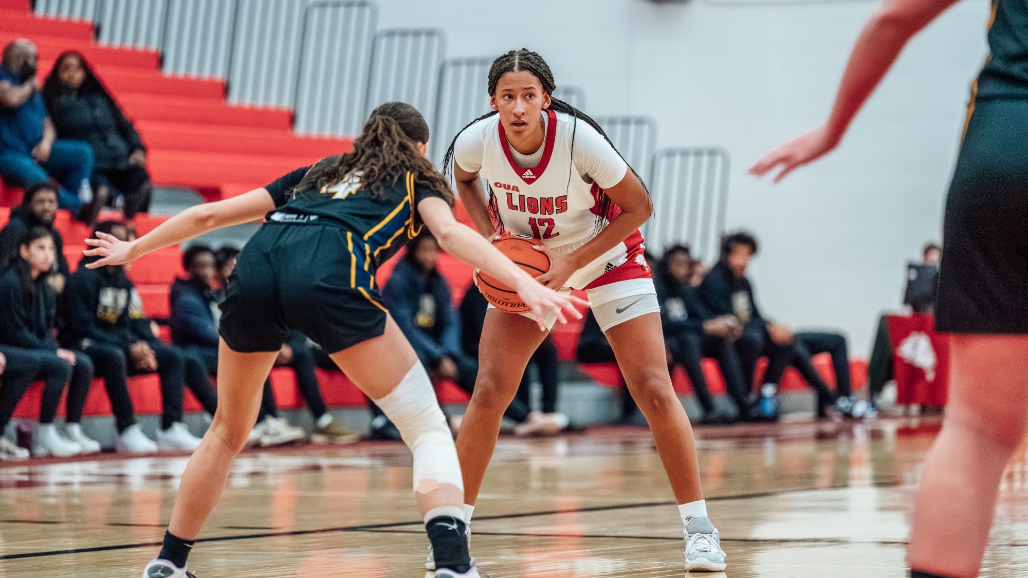 After a quiet first weekend of 2025, the winter term begins in earnest this week for the York University Lions. Here’s what’s going on in the den this week