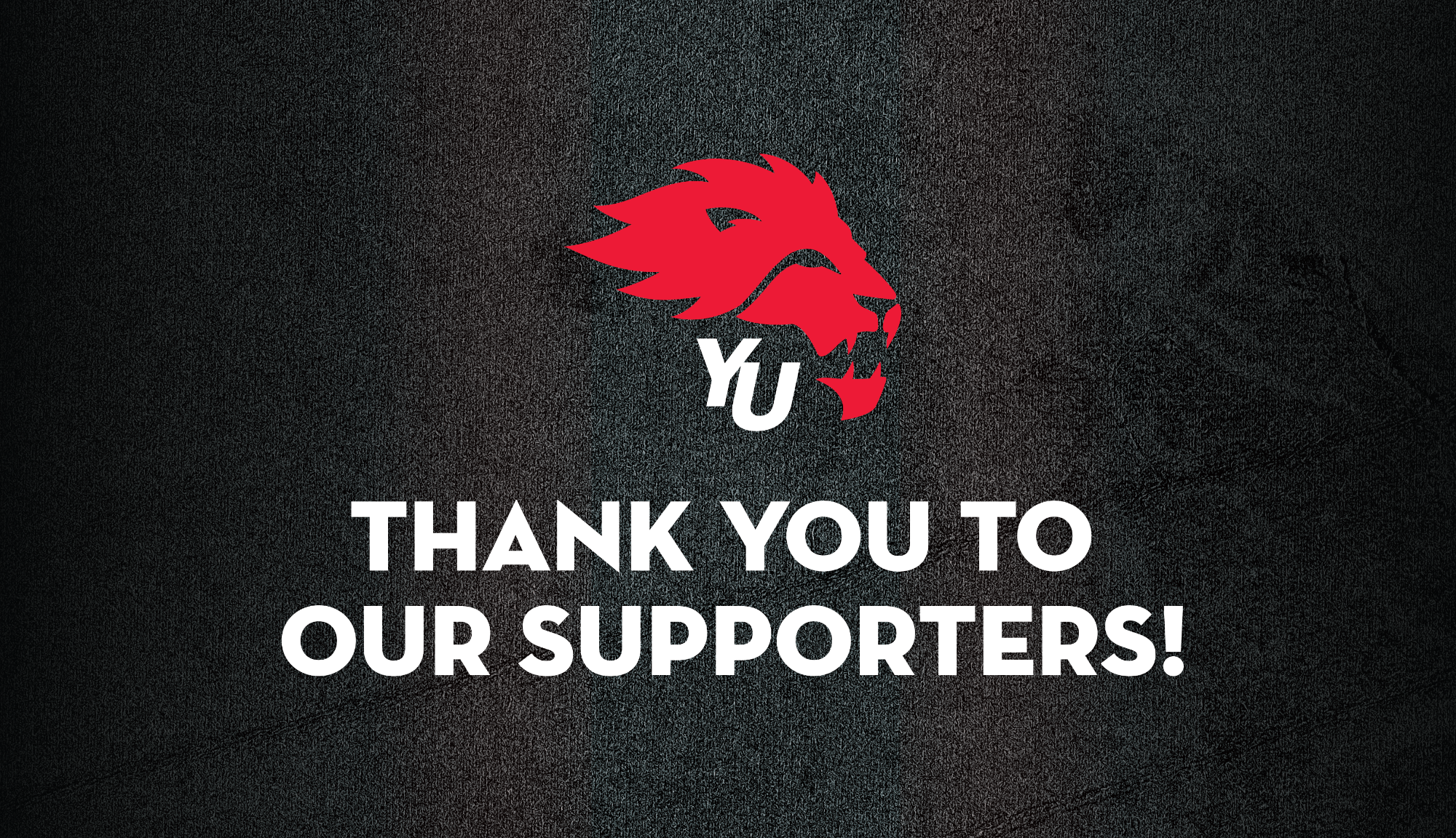 Thank you Sponsors 25