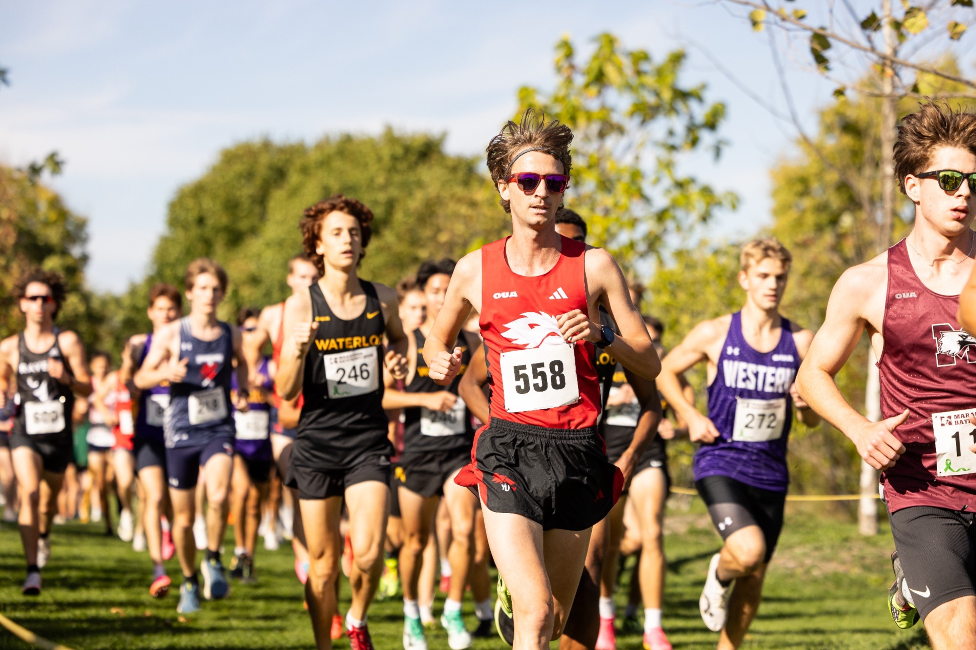 The York University Lions cross country teams made the trek down the QEW to Hamilton last Friday for the annual Bayfront Open