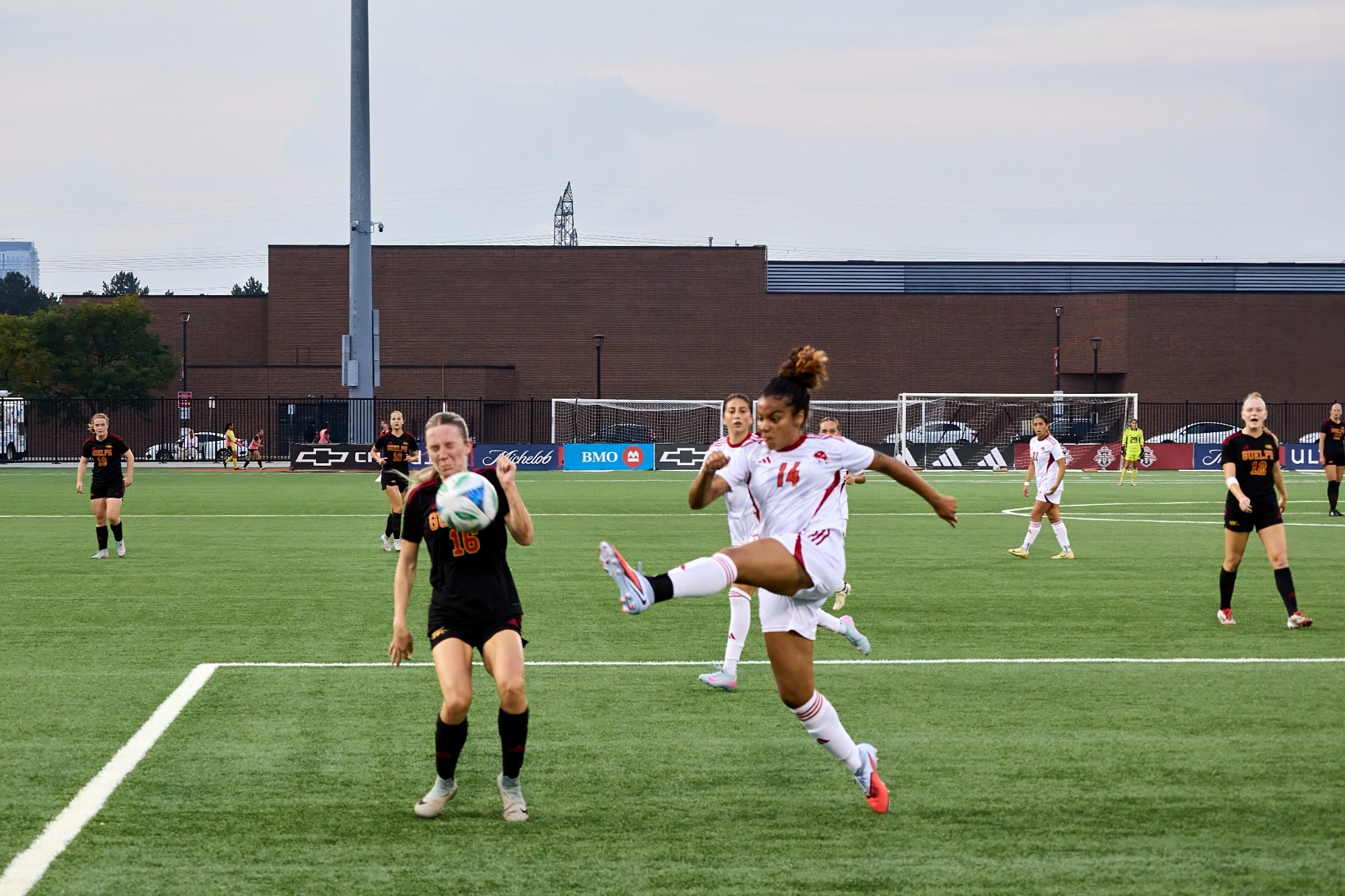 The York University Lions women’s soccer team will take on the Algoma Thunderbirds on Saturday at York Lions Stadium in their final match of the regular season