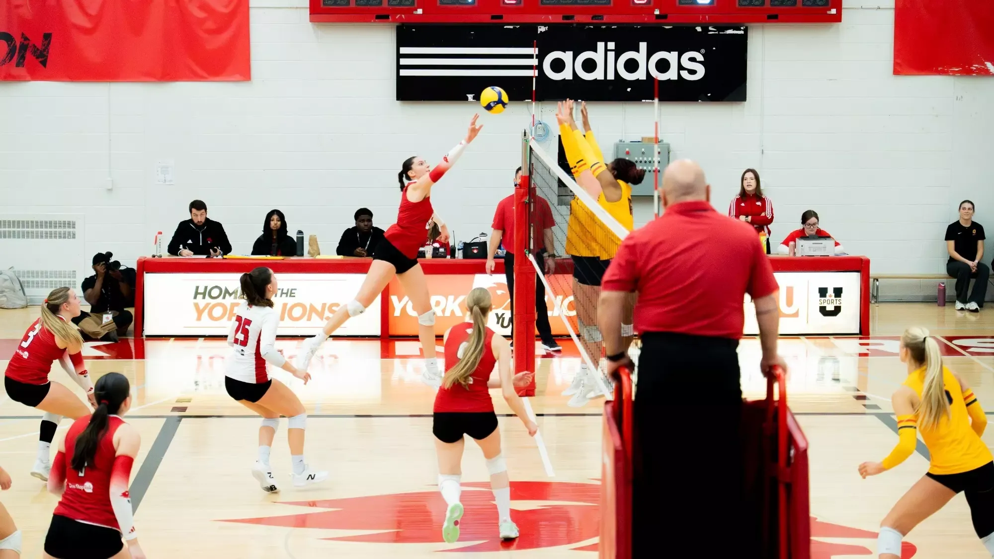 The York University Lions women’s volleyball team hosted the Queens Gaels at Tait McKenzie Centre on Friday night