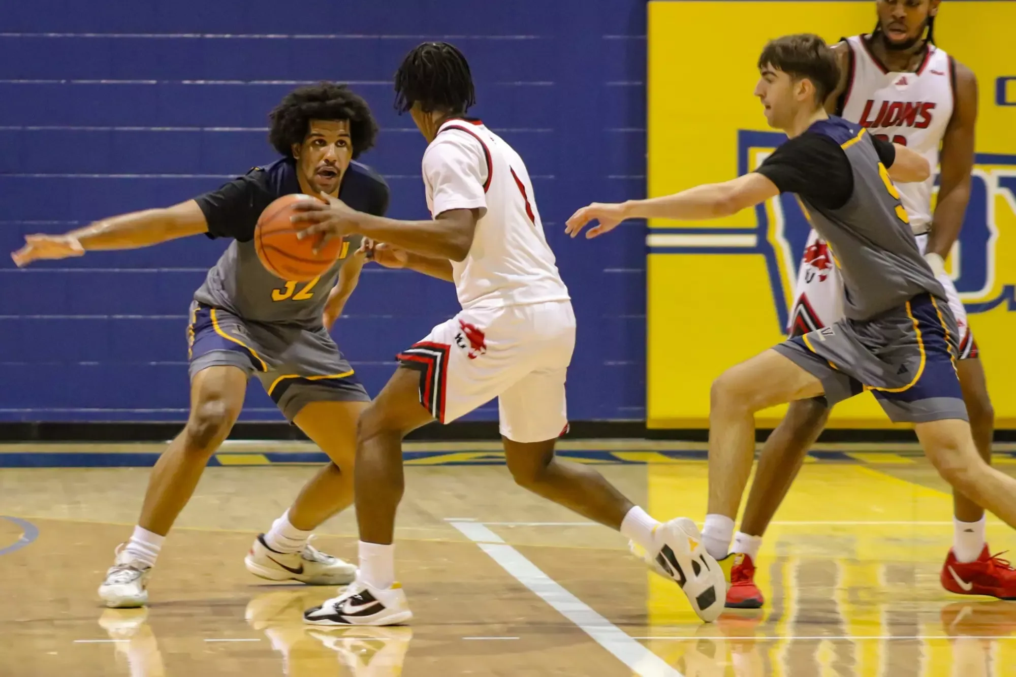 Saturday night featured the York University Lions men's basketball team pitted against the Laurentian Voyageurs