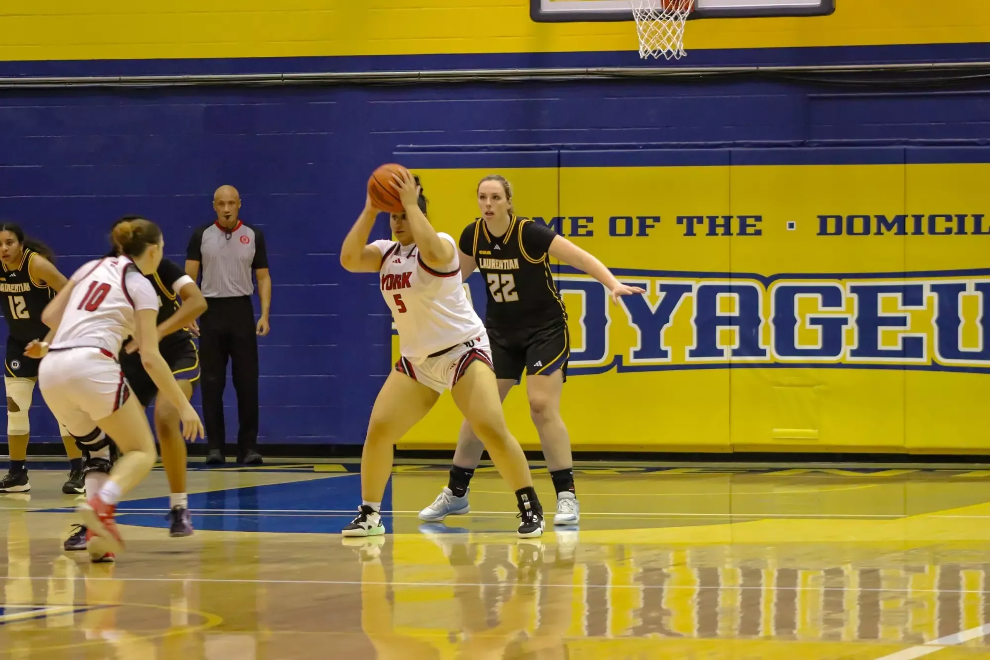 The York University Lions women's basketball team concluded their two-game northern road swing Saturday night in Sudbury against the Laurentian Voyageurs