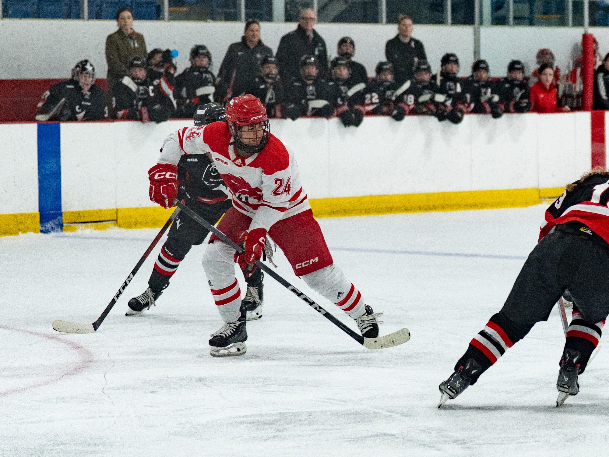 The York University Lions women’s hockey team hosted the Carleton Ravens on Thursday afternoon at Canlan Ice Sports in the inaugural Elimination of Violence Against Women’s and Girls Awareness Game