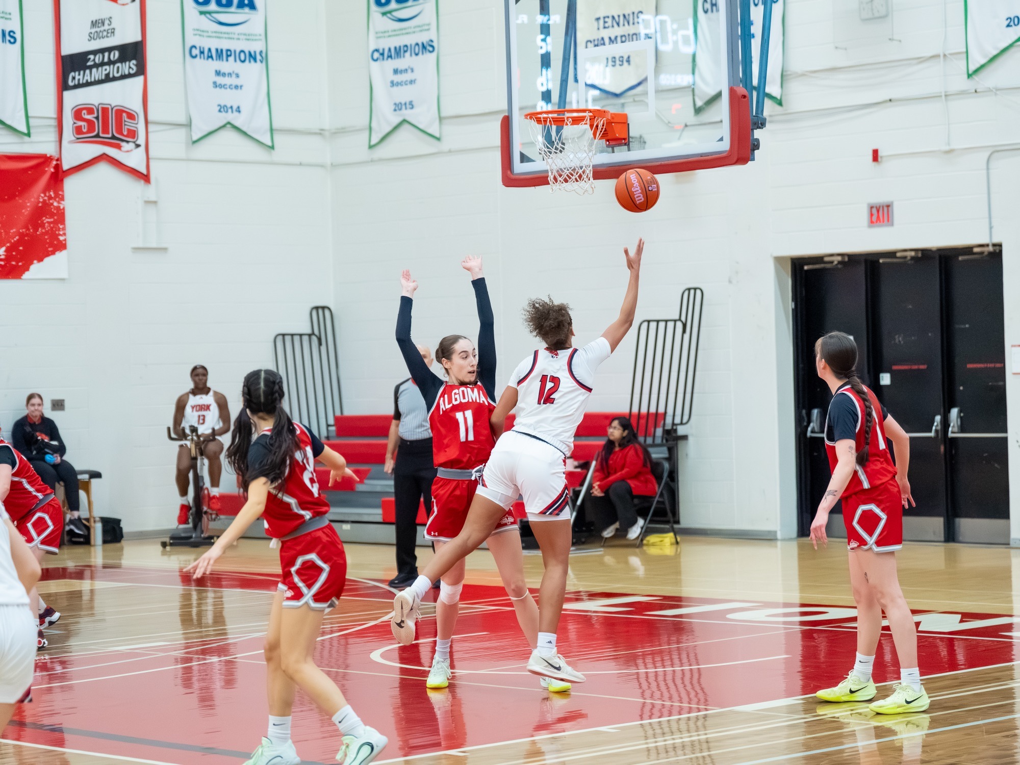 The York University women’s basketball team went head-to-head with the Algoma Thunderbirds on Friday night in their final game of the fall semester.